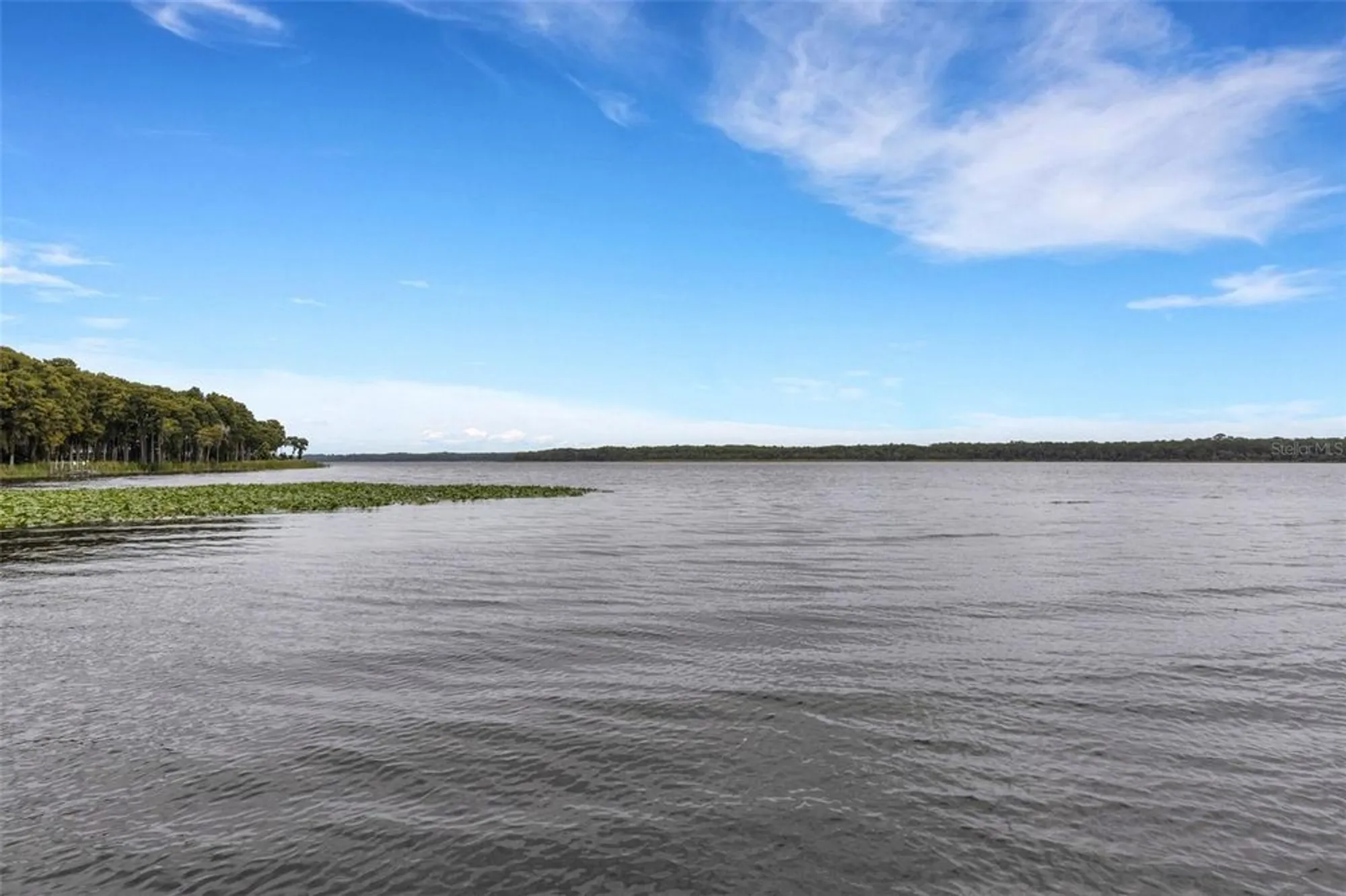 Property Slideshow image 81 of 90 | 3098 e dorchester dr, Palm Harbor, FL, 34684