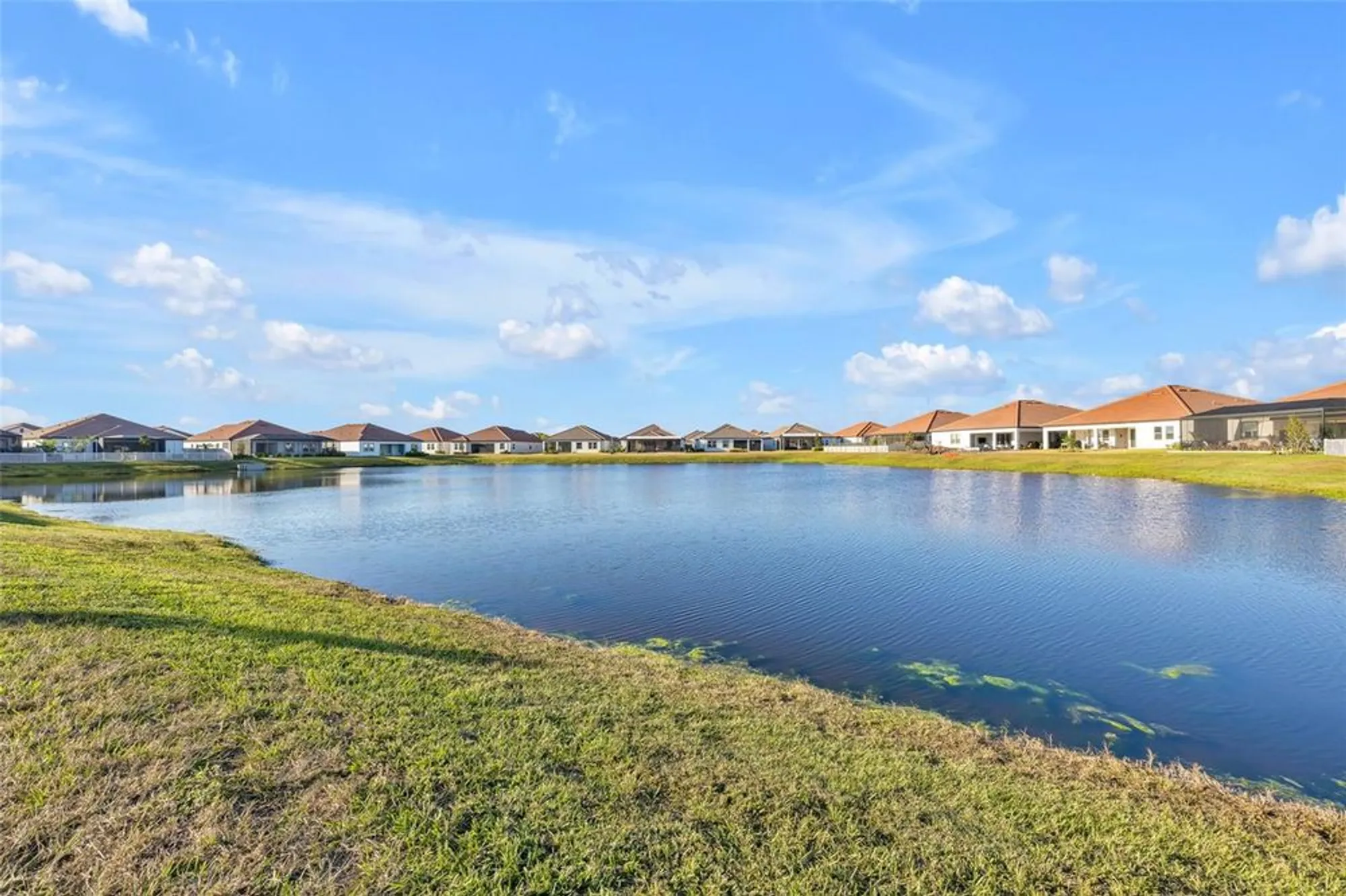 Property Slideshow image 20 of 63 | 17523 holly well ave, Wimauma, FL, 33598
