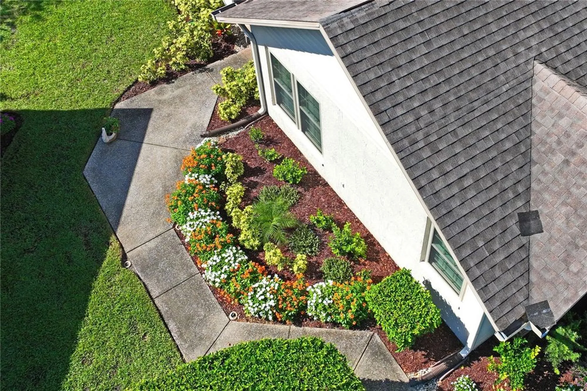 Property Slideshow image 43 of 62 | 4755 carrington ct, New Port Richey, FL, 34655