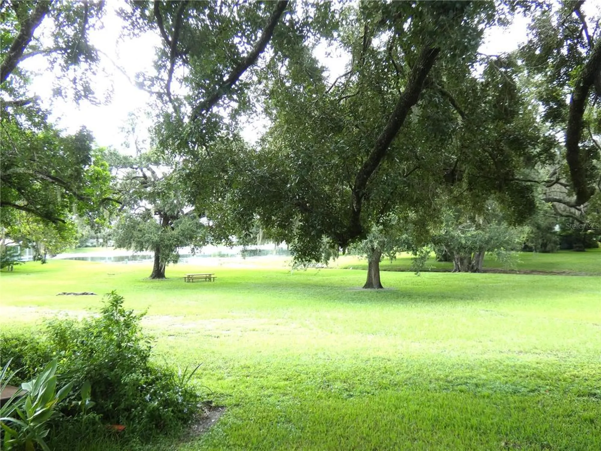 Property Slideshow image 7 of 39 | 8140 san felipe ct, Port Richey, FL, 34668