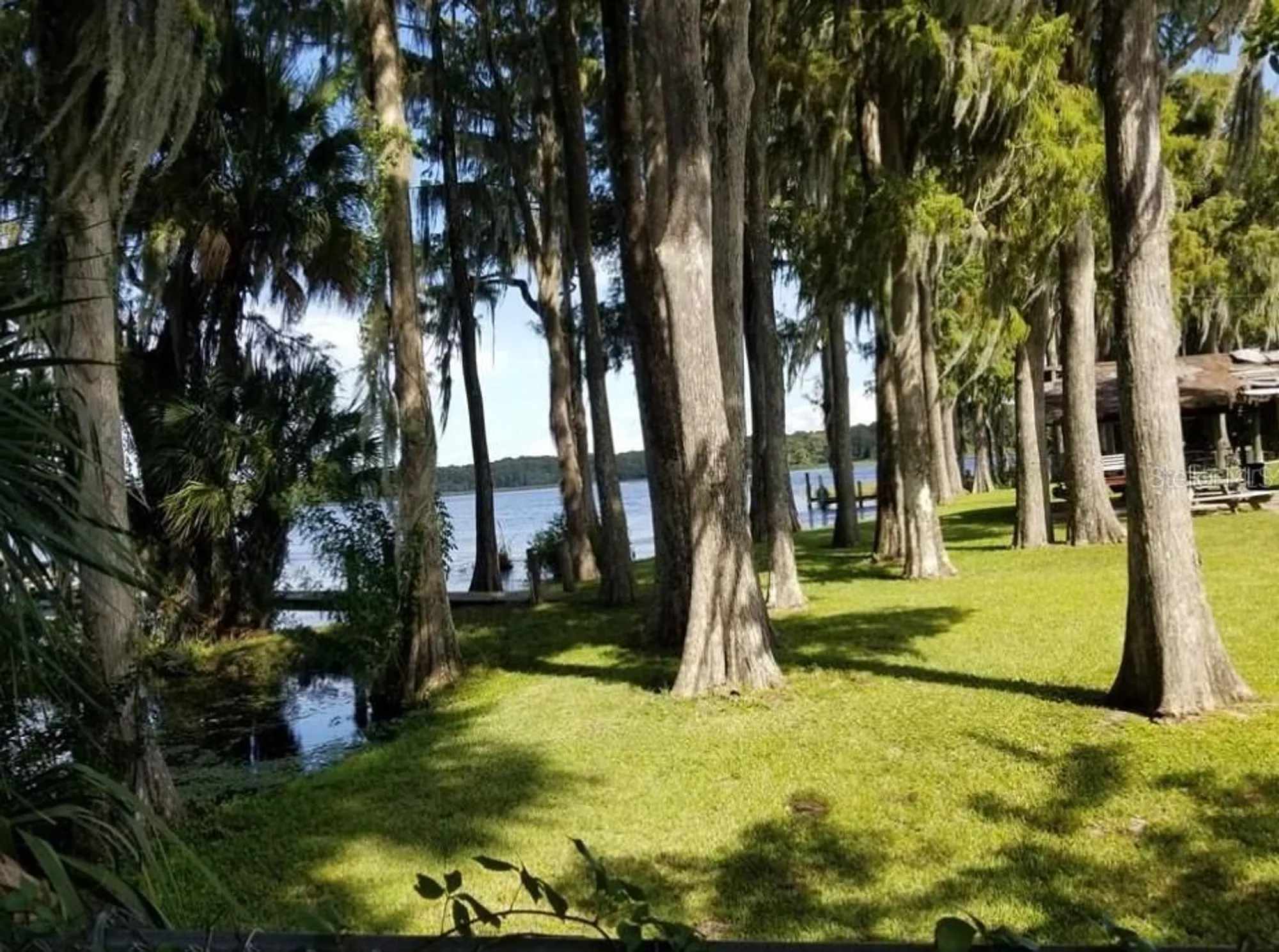 Property Slideshow image 48 of 62 | 3109 mission grove dr d, Palm Harbor, FL, 34684