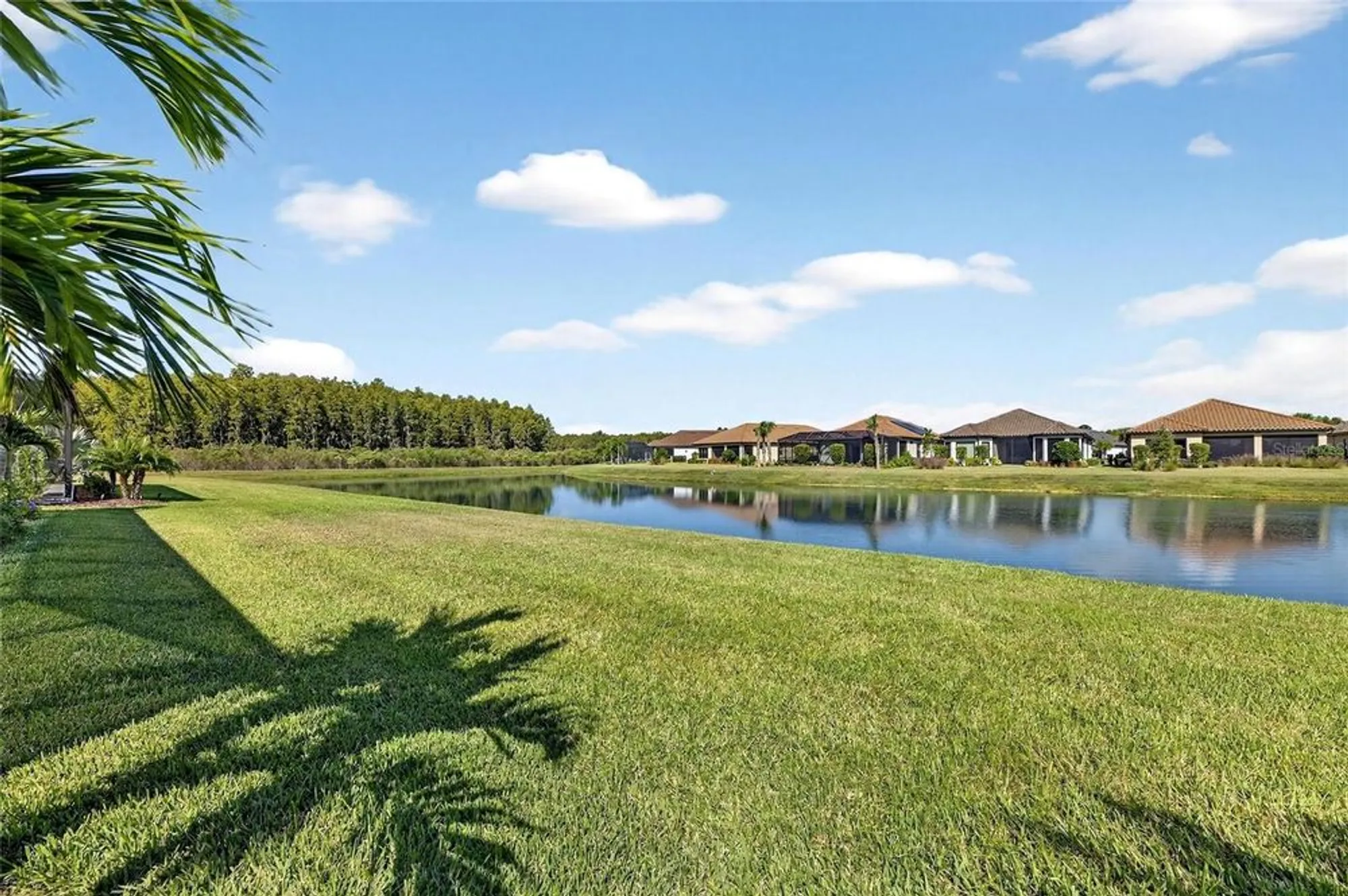 Property Slideshow image 4 of 99 | 11121 egeria dr, Odessa, FL, 33556