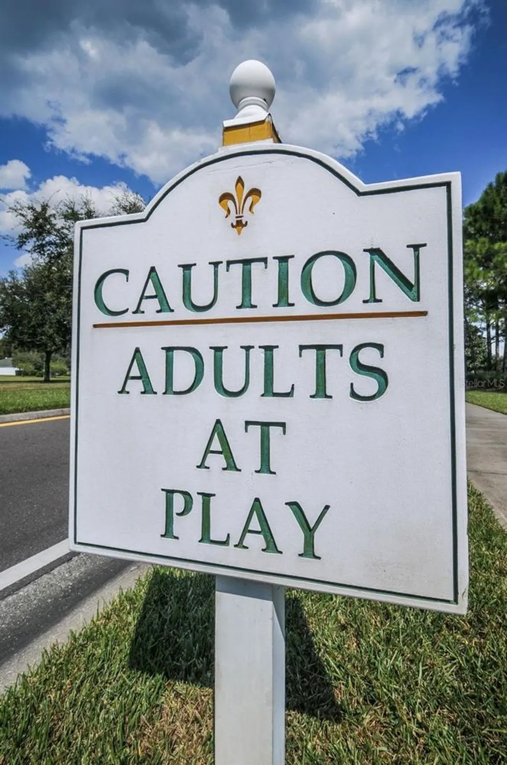 Property Slideshow image 98 of 100 | 1136 almondwood dr, Trinity, FL, 34655