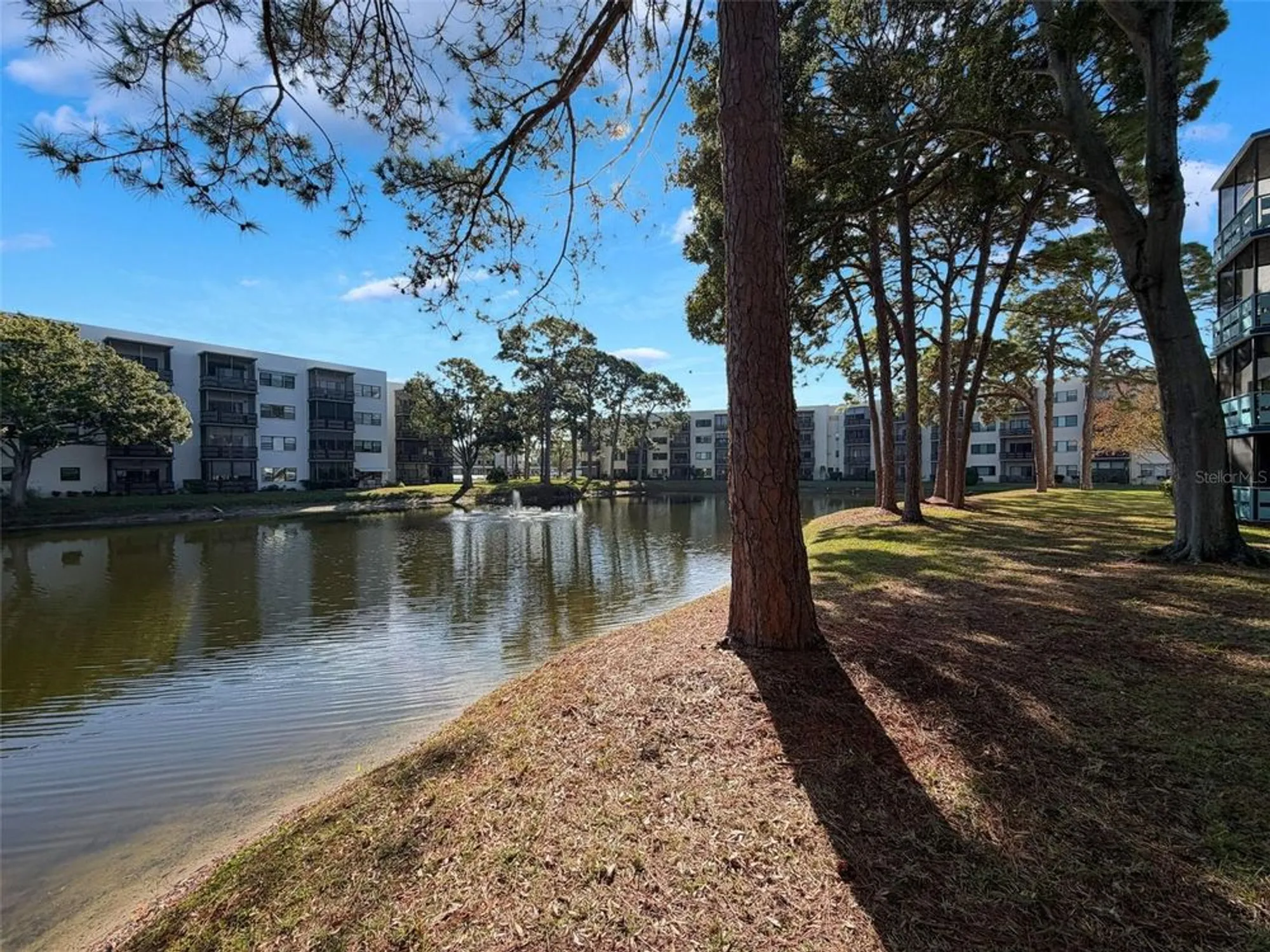 Property Slideshow image 35 of 82 | 5970 80th st n unit 206, St Petersburg, FL, 33709