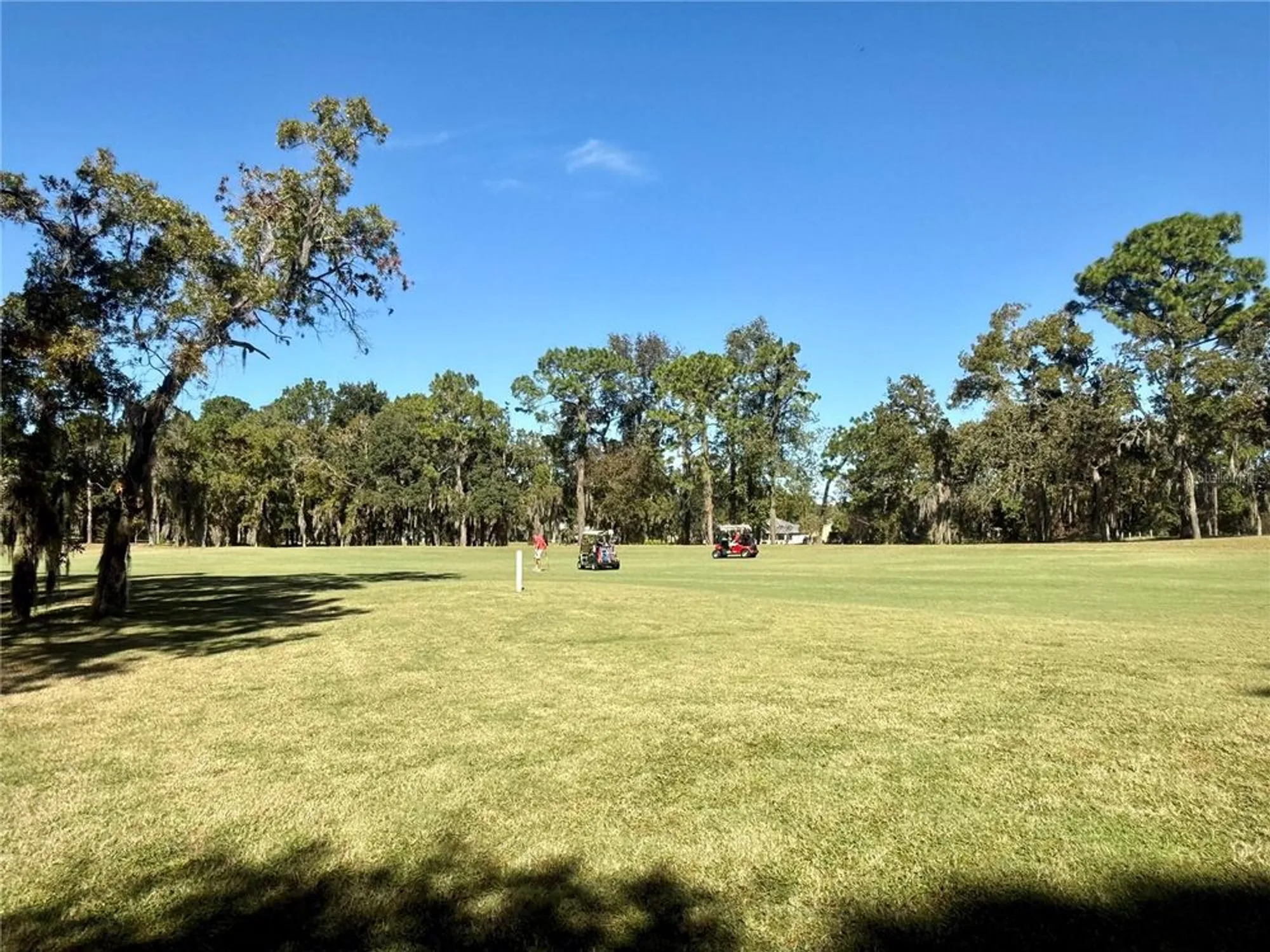 Property Slideshow image 50 of 51 | 11615 sw 72nd cir, Ocala, FL, 34476