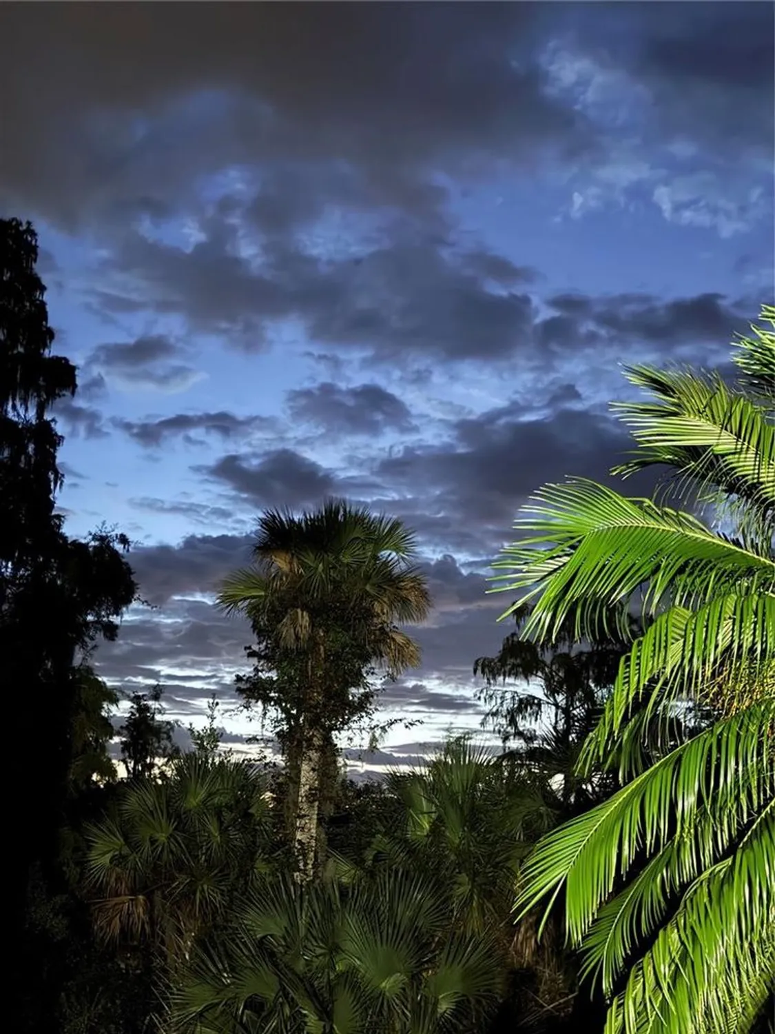 Property Slideshow image 2 of 5 | 1155 glendora rd n, Kissimmee, FL, 34759