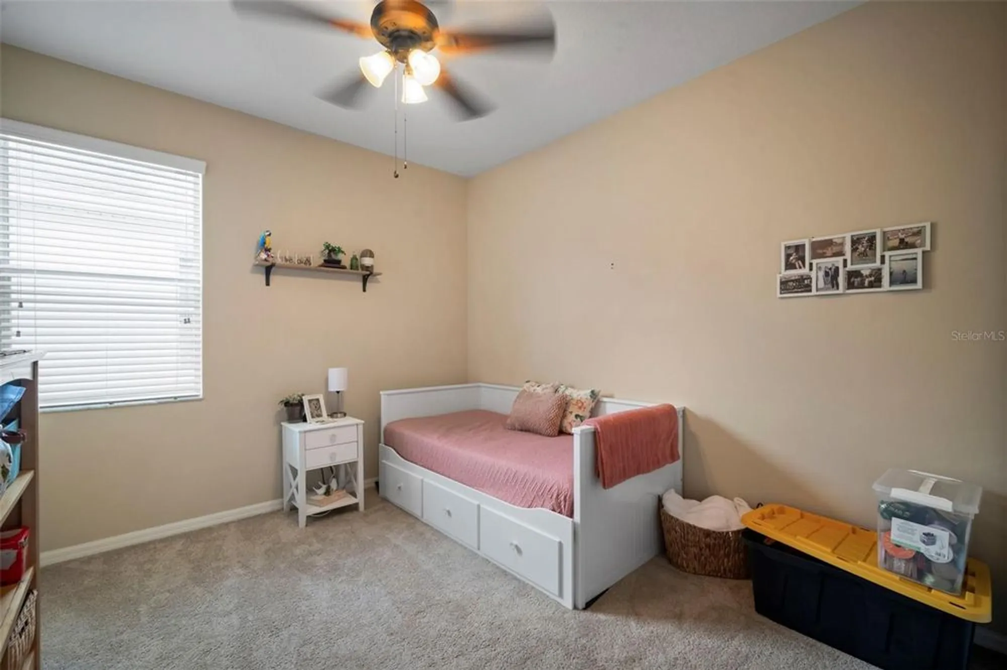 Property Slideshow image 18 of 26 | 29405 cochiti lake dr, San Antonio, FL, 33576