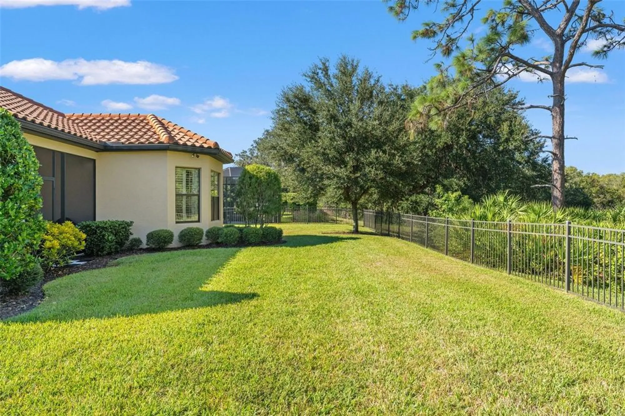 Property Slideshow image 58 of 76 | 11295 juglans dr, Odessa, FL, 33556