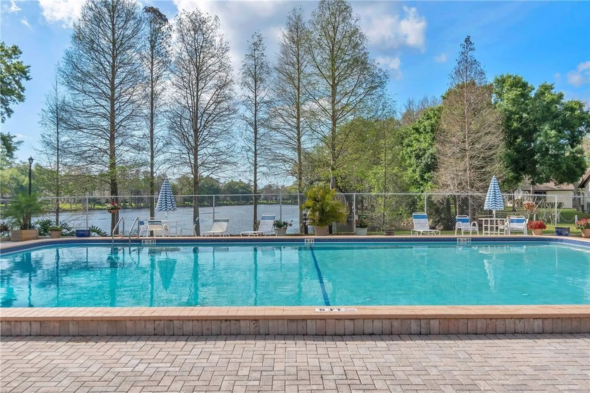 Property Slideshow image 16 of 23 | 2555 royal pines cir # 15a, Clearwater, FL, 33763