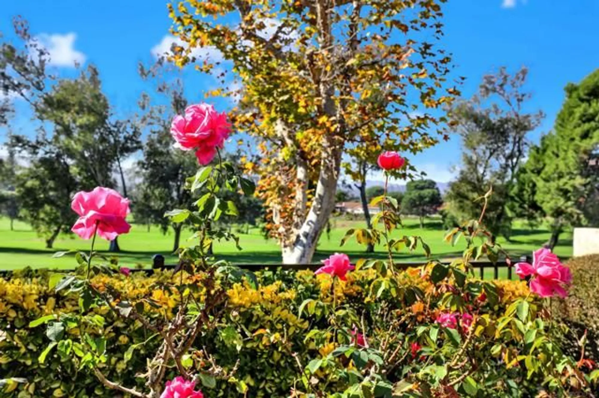 Property Slideshow image 35 of 50 | 17620 plaza ascope, San Diego, CA, 92128