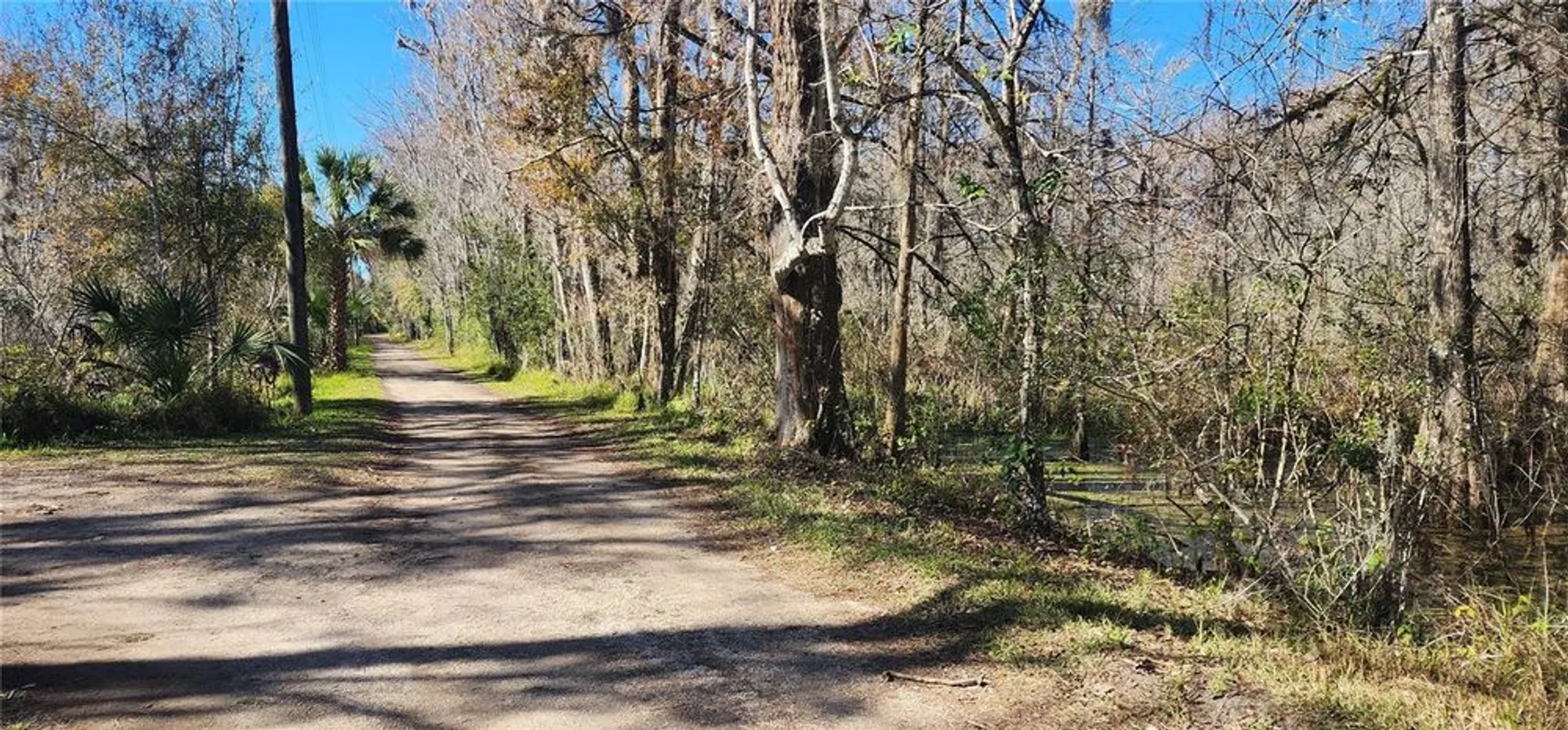 Property Slideshow image 27 of 31 | 404 s timber trl, Wildwood, FL, 34785