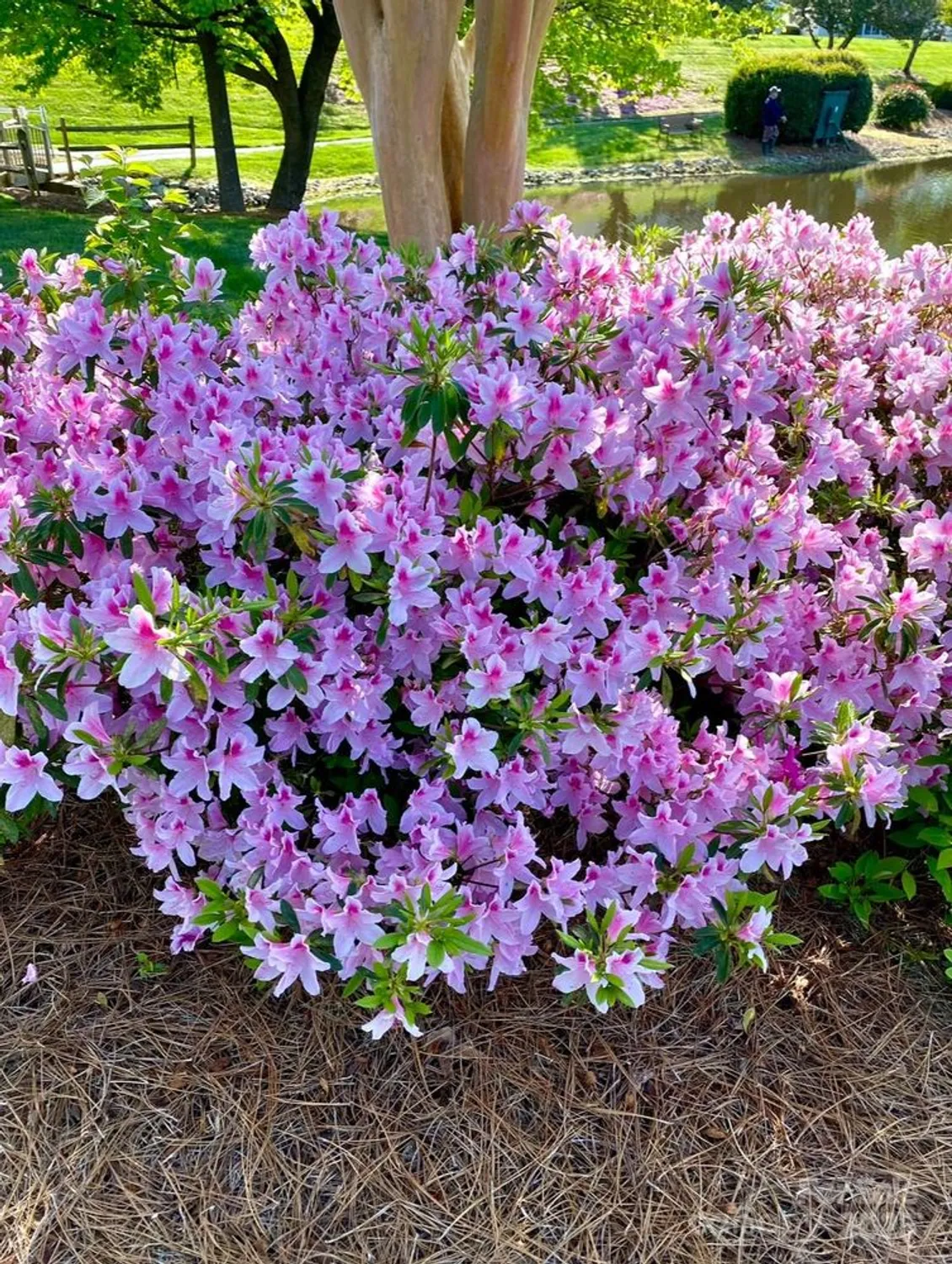 Property Slideshow image 43 of 43 | 101 keswick ln, Mooresville, NC, 28117