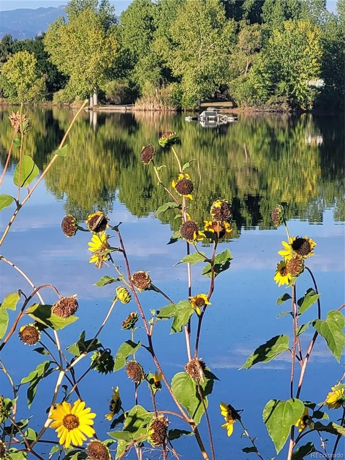 Property Slideshow image 28 of 28 | 688 brennan cir, Erie, CO, 80516