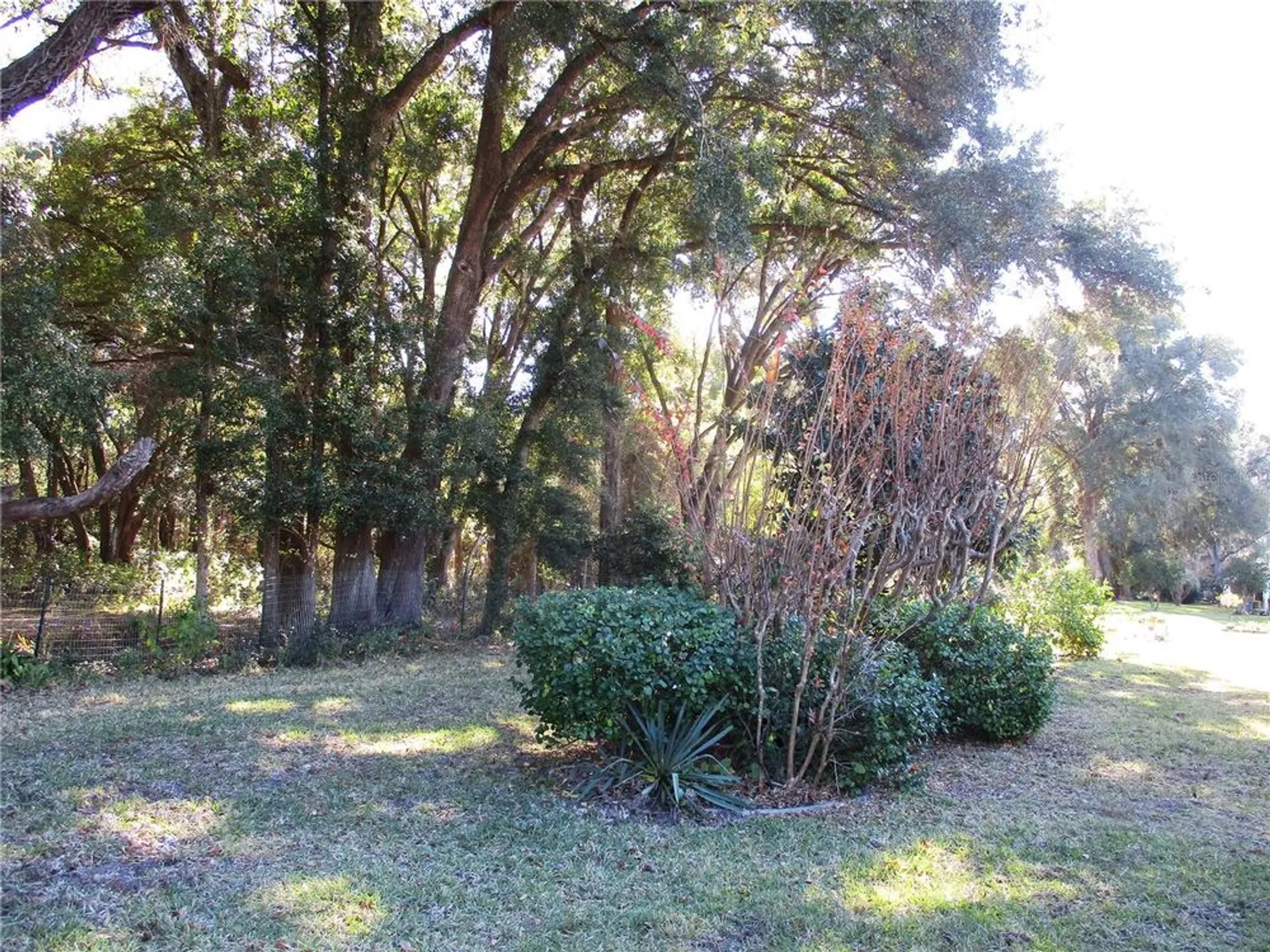 Property Slideshow image 54 of 77 | 14652 sw 112th cir, Dunnellon, FL, 34432