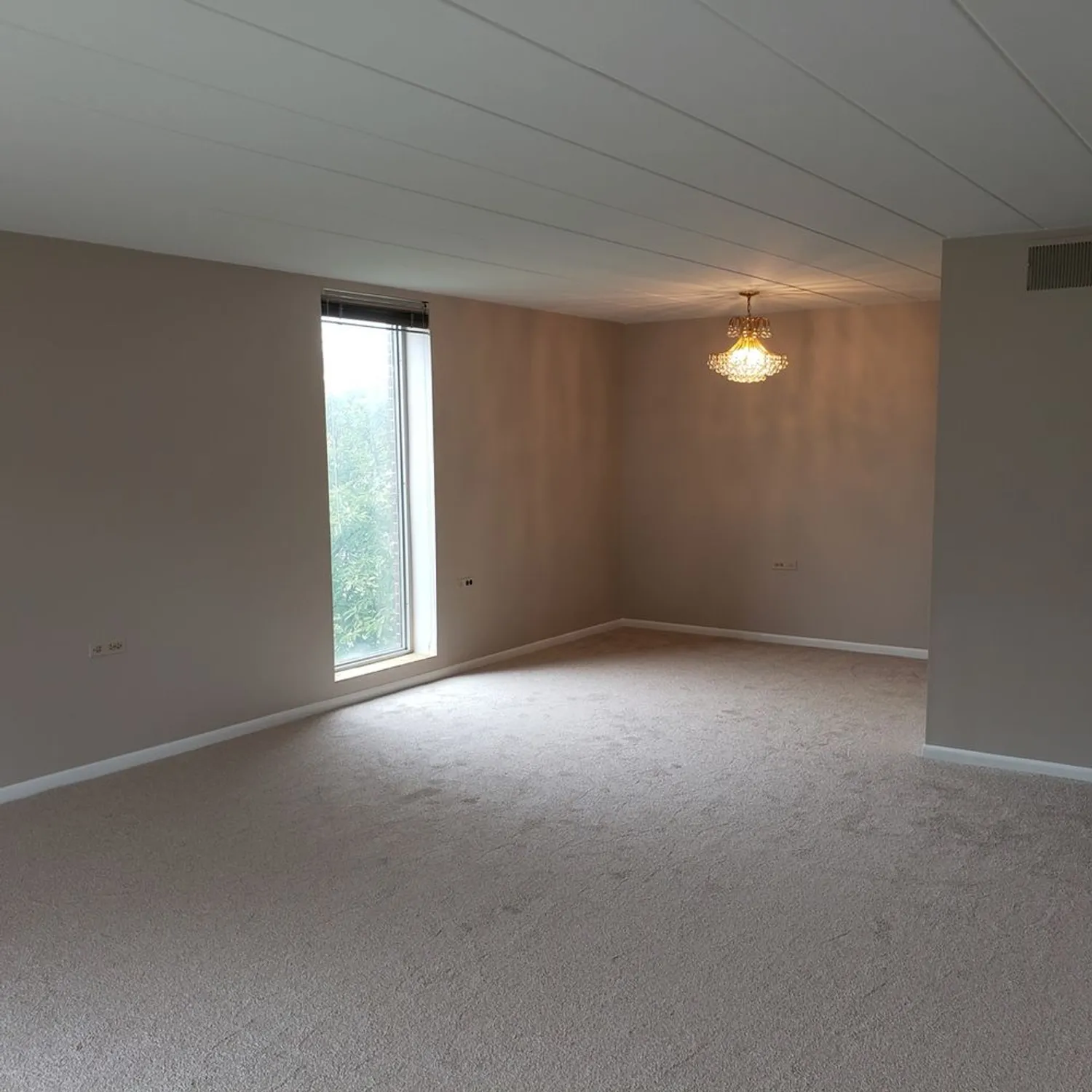 Property Slideshow image 8 of 20 | 5300 walnut ave 12b, Downers Grove, IL, 60515