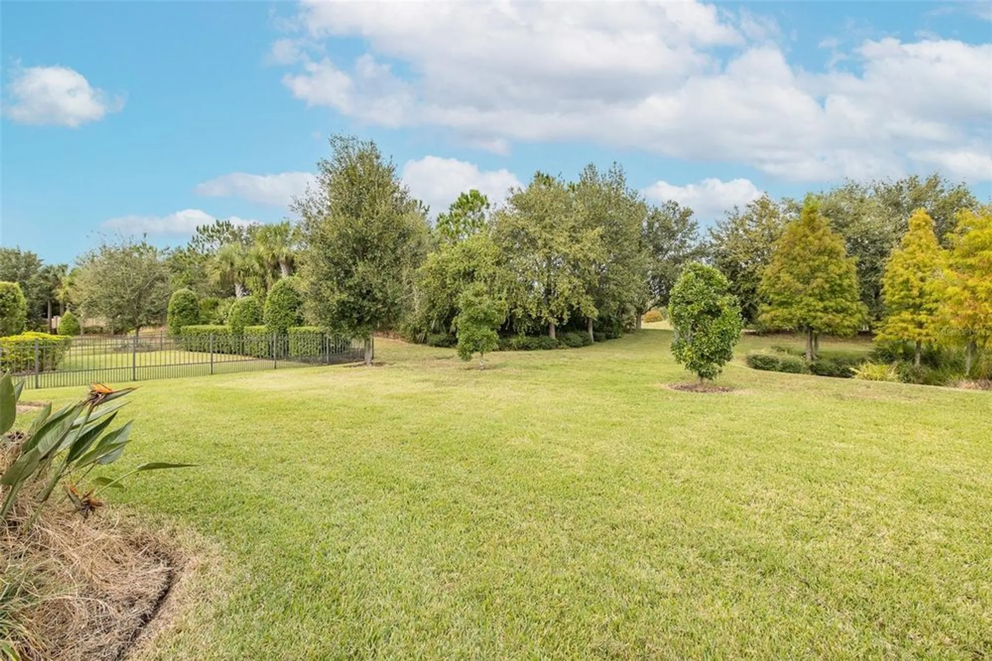 Property Slideshow image 57 of 100 | 11599 callisia dr, Odessa, FL, 33556