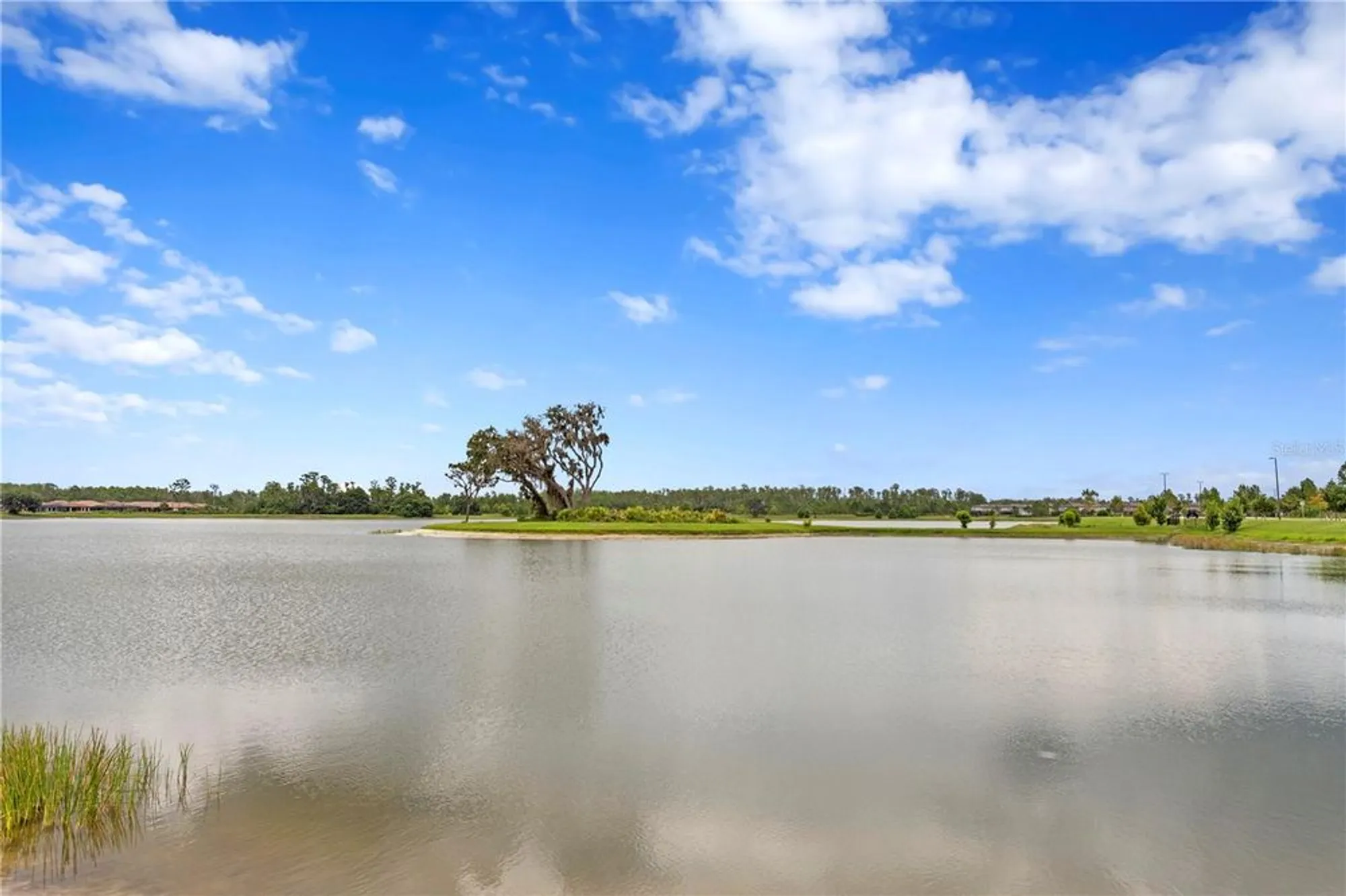 Property Slideshow image 47 of 62 | 3214 forsythia dr, Odessa, FL, 33556