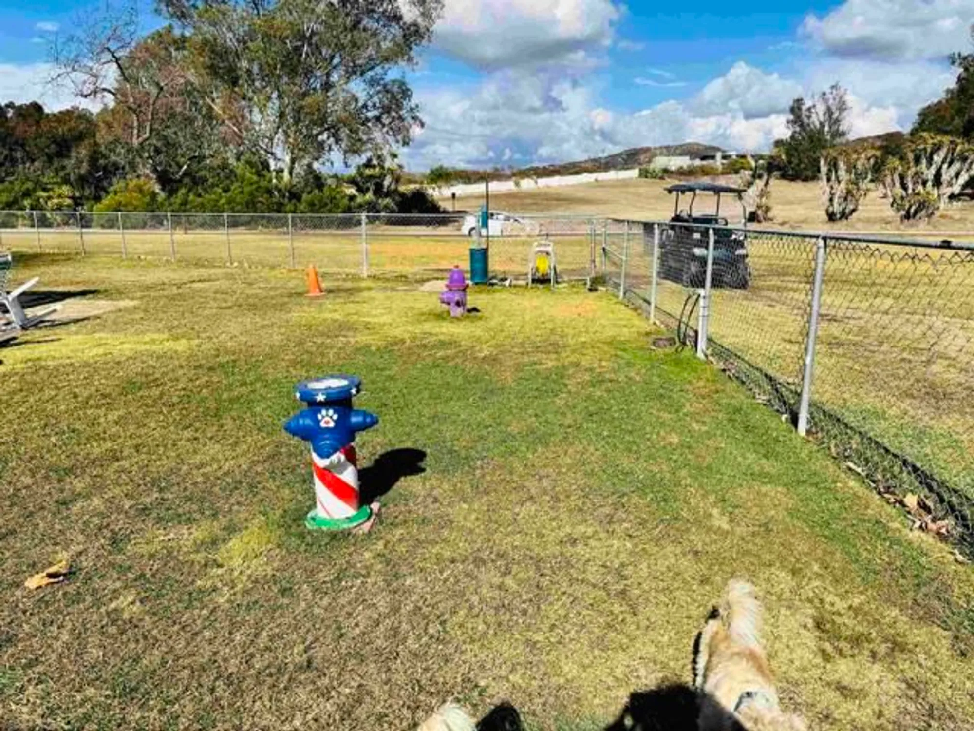 Property Slideshow image 69 of 74 | 3445 don ortega dr, Carlsbad, CA, 92010