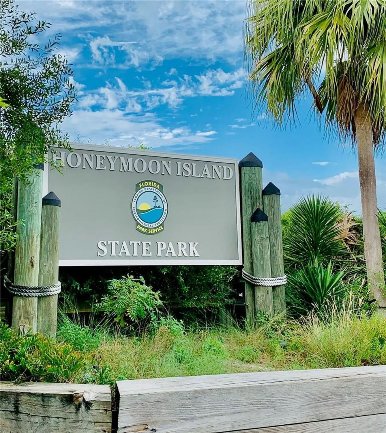 Property Slideshow image 28 of 34 | 870 virginia st apt 302, Dunedin, FL, 34698