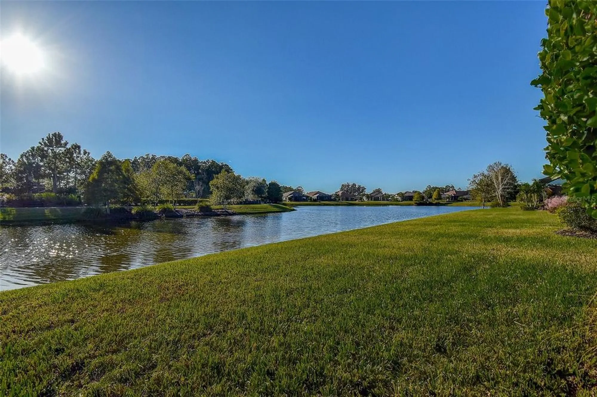 Property Slideshow image 44 of 49 | 11426 juglans dr, Odessa, FL, 33556