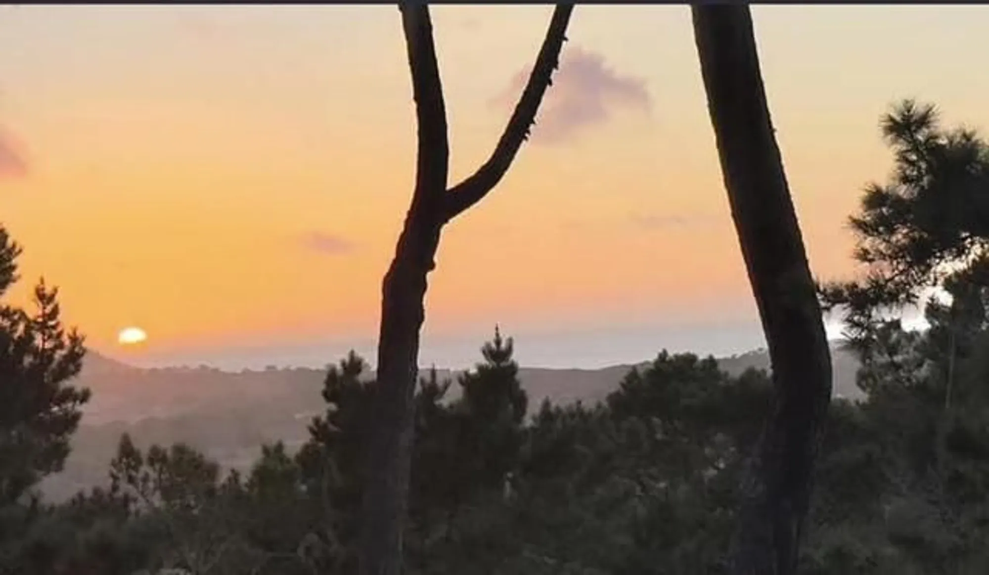 Property Slideshow image 9 of 49 | 31 del mesa carmel, Carmel, CA, 93923