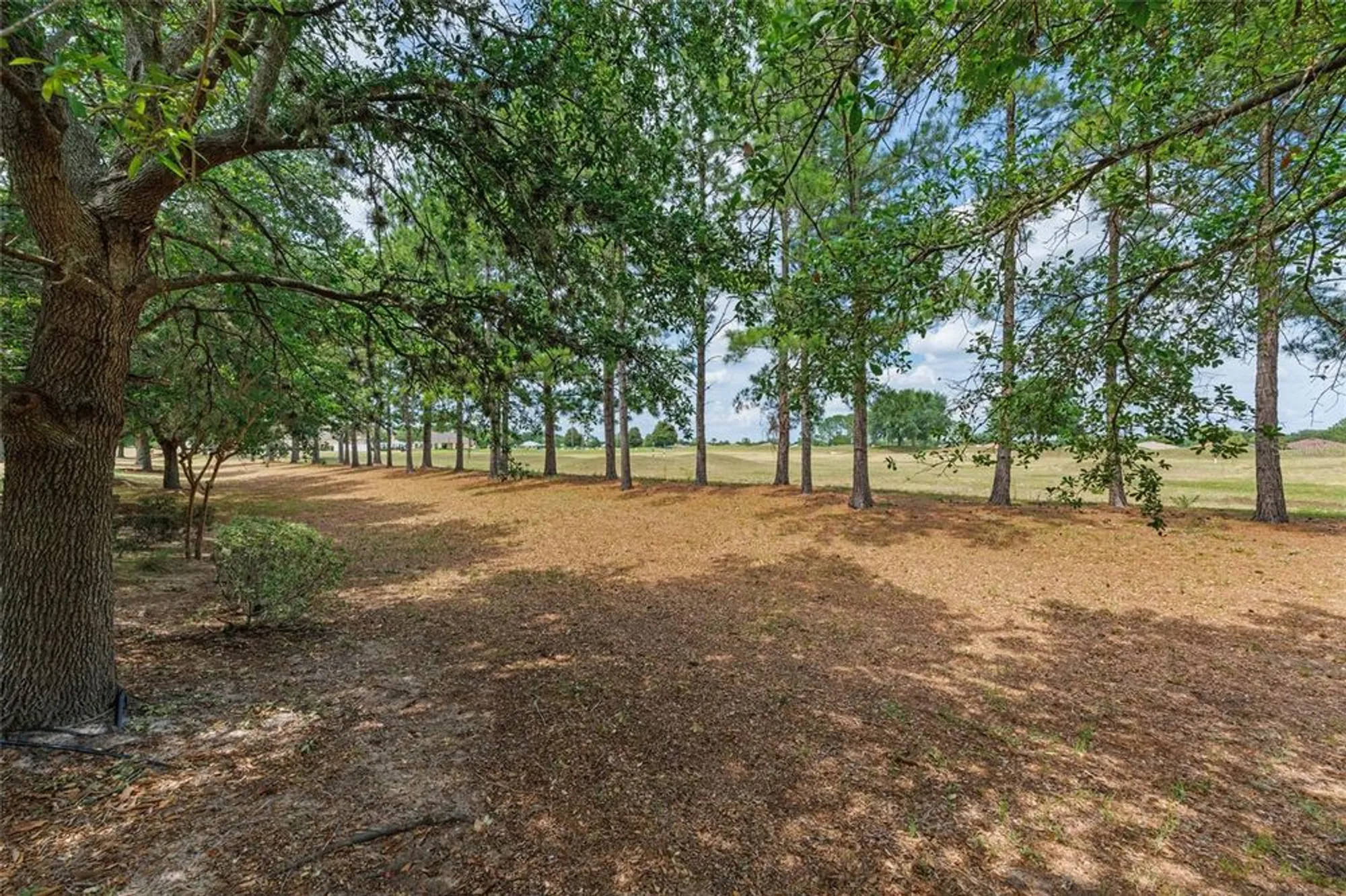 Property Slideshow image 6 of 47 | 1429 sw 160th ln, Ocala, FL, 34473