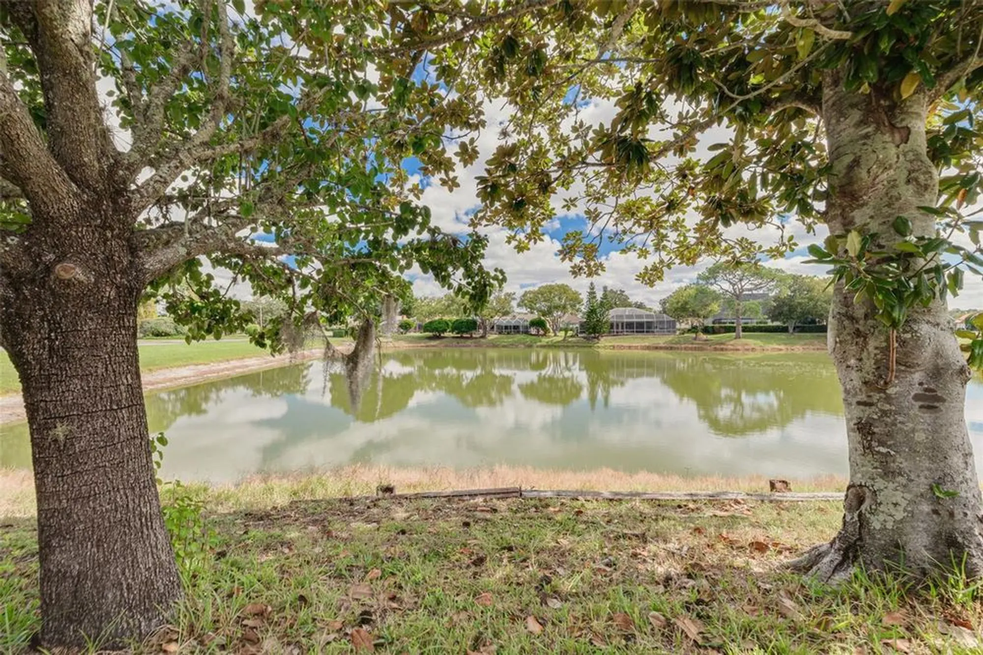 Property Slideshow image 38 of 47 | 10084 twelve oaks ct, Weeki Wachee, FL, 34613