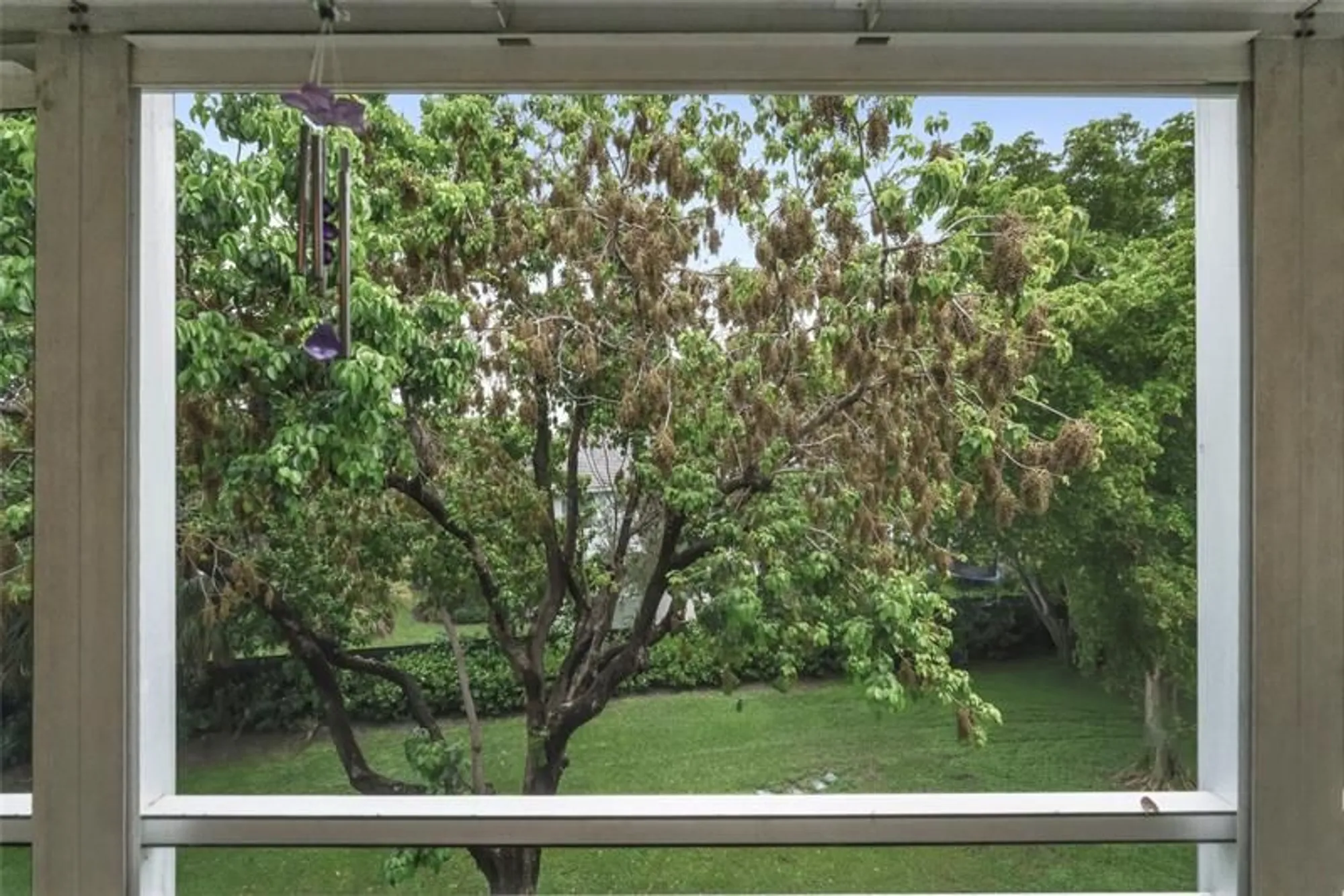 Property Slideshow image 19 of 29 | 404 richmond a # 404, Deerfield Beach, FL, 33442