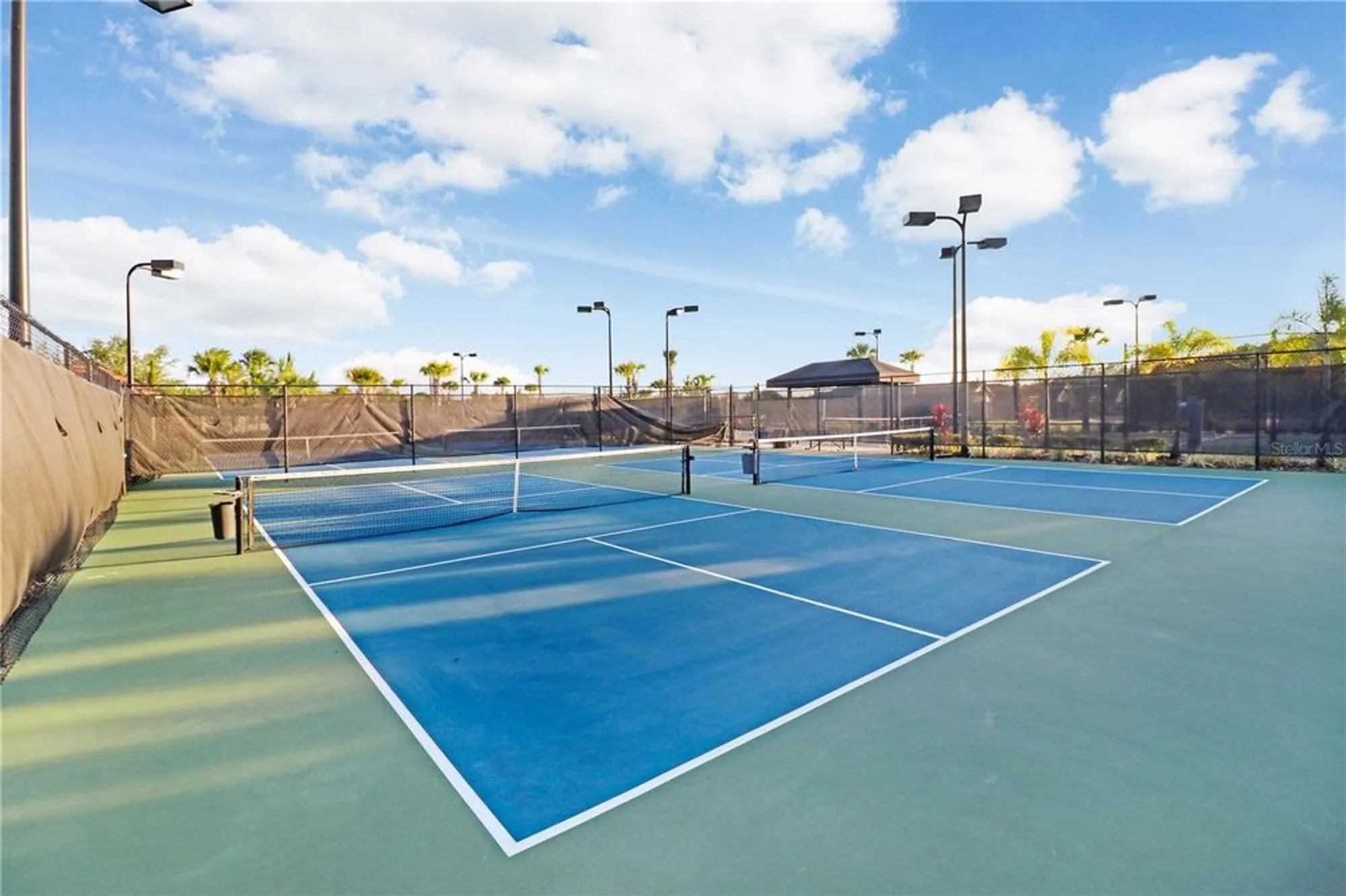 Property Slideshow image 35 of 39 | 8605 grand alberato rd, Tampa, FL, 33647