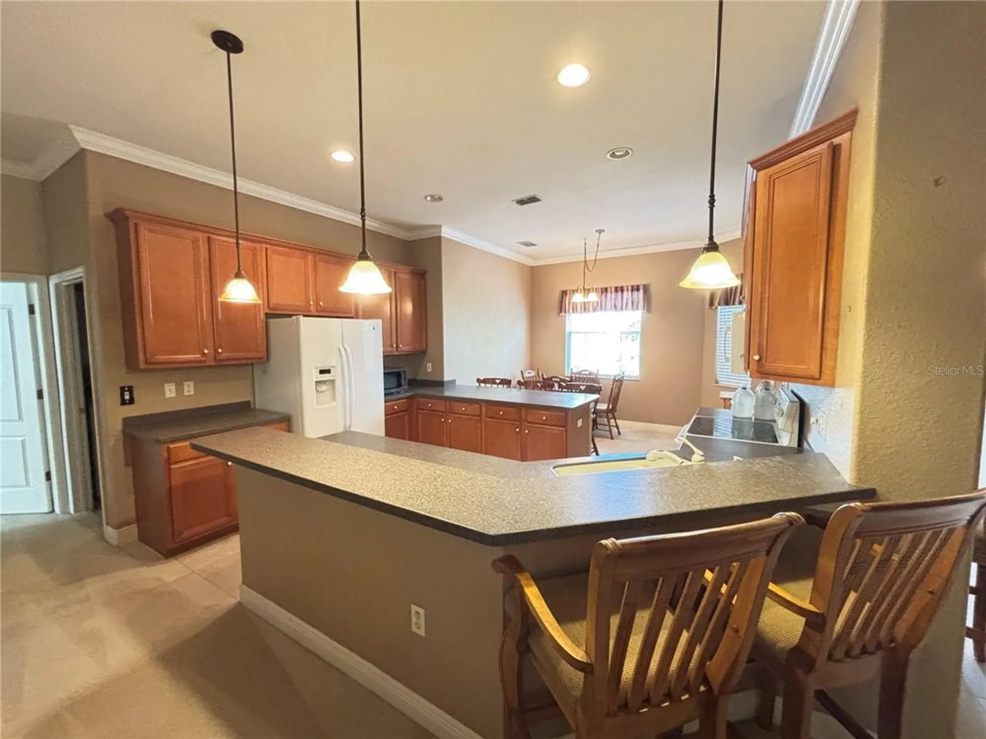 Property Slideshow image 8 of 23 | 9936 cleghorn dr, San Antonio, FL, 33576