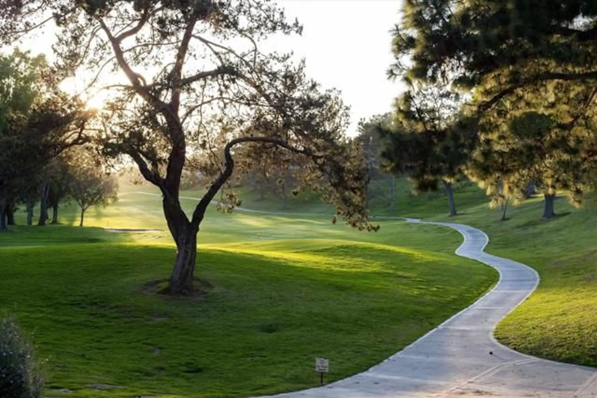 Property Slideshow image 73 of 74 | 1349 via firenze, San Marcos, CA, 92078