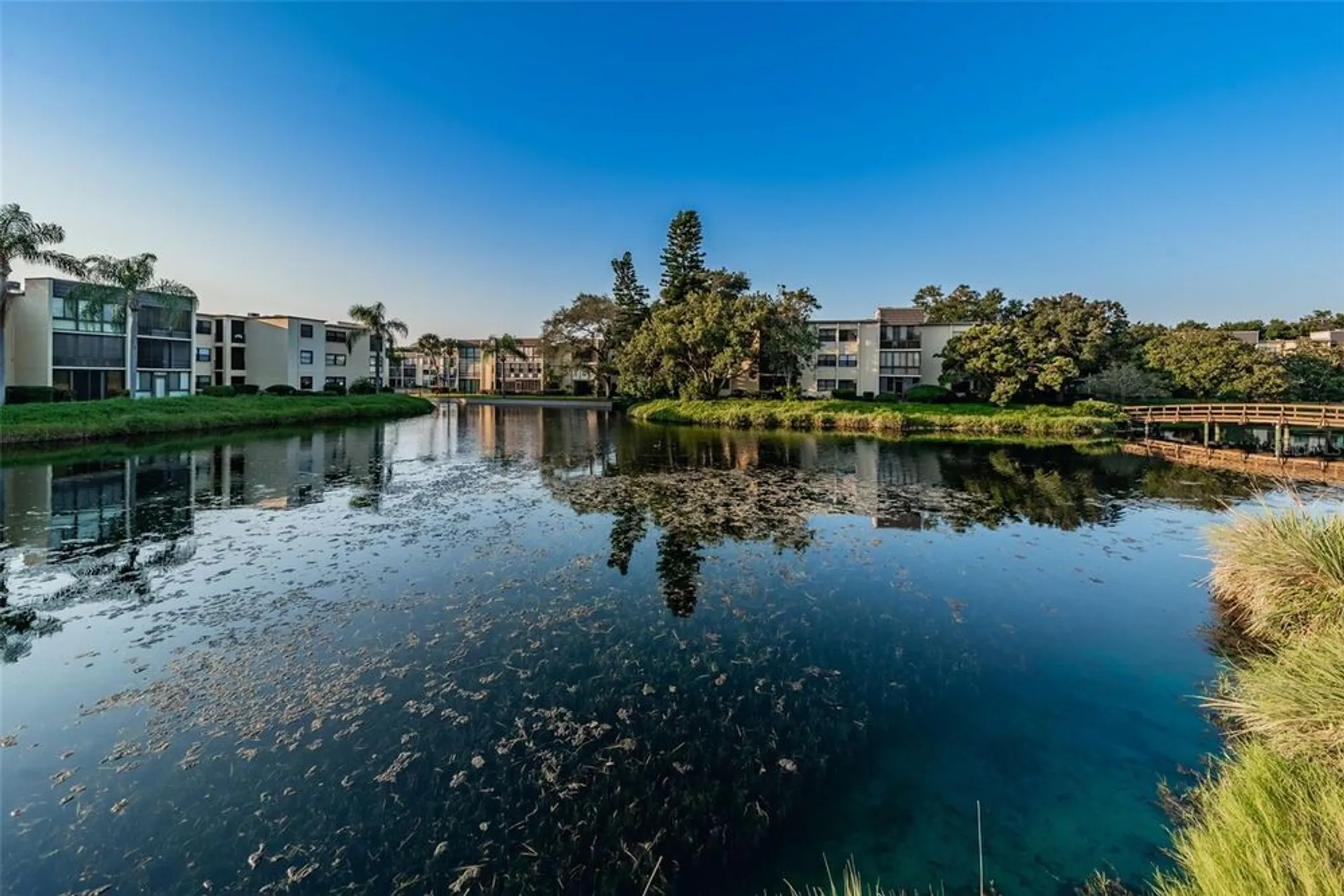 Property Slideshow image 35 of 49 | 14130 rosemary ln apt 3306, Largo, FL, 33774