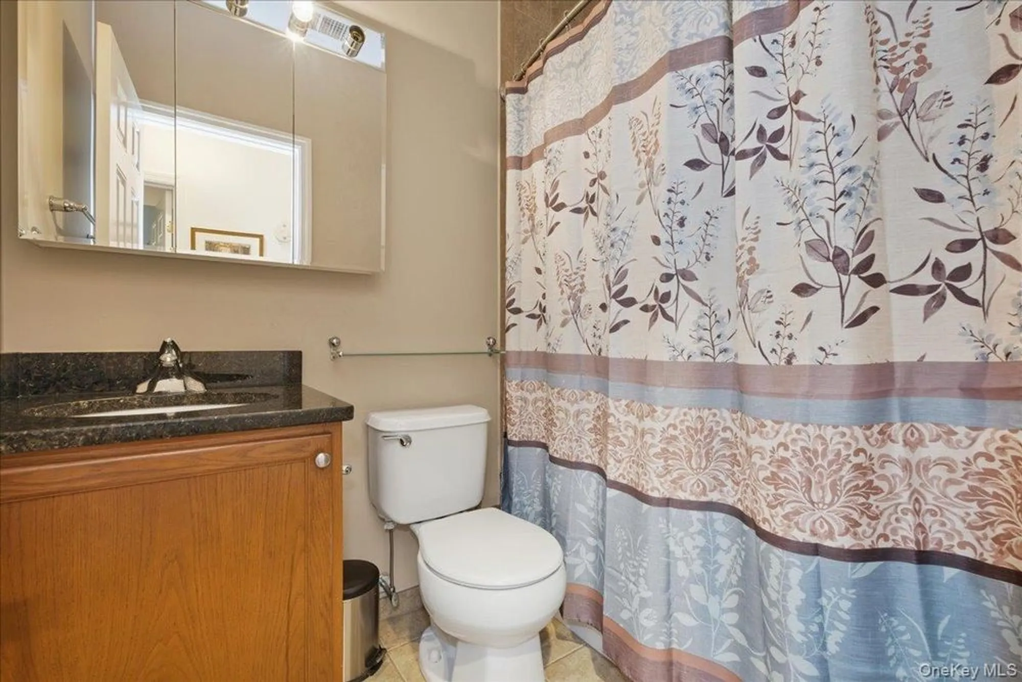 Property Slideshow image 25 of 36 | 133 spring dr # 133, East Meadow, NY, 11554