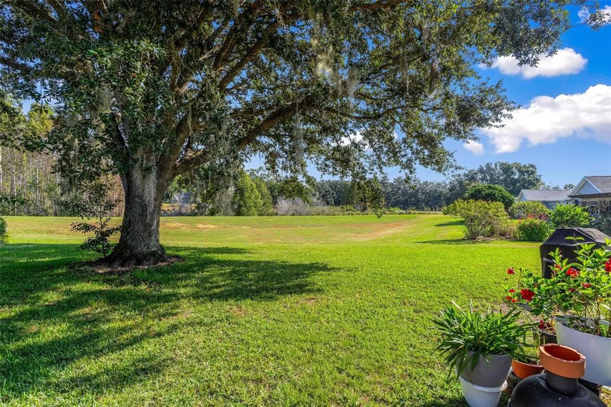 Property Slideshow image 39 of 55 | 25440 crestwater dr, Leesburg, FL, 34748