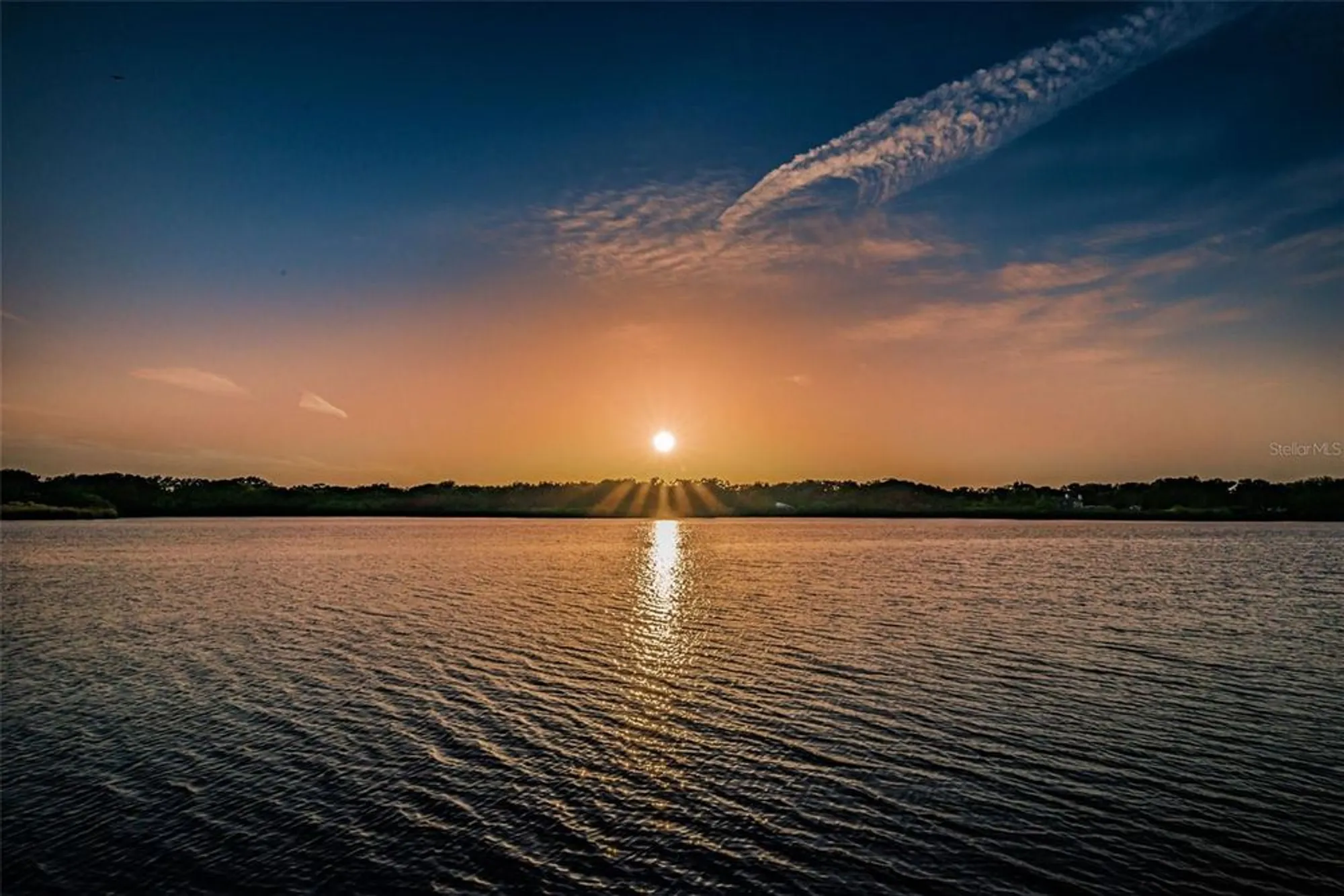 Property Slideshow image 97 of 98 | 2453 brazilia dr 47, Clearwater, FL, 33763