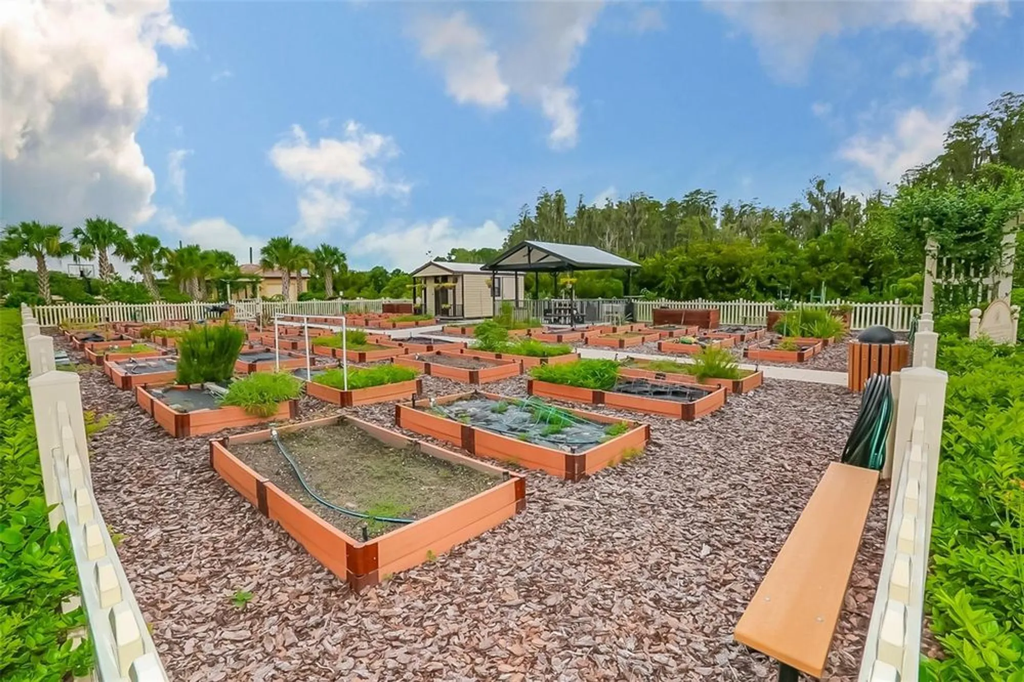 Property Slideshow image 63 of 75 | 16227 cape coral dr, Wimauma, FL, 33598