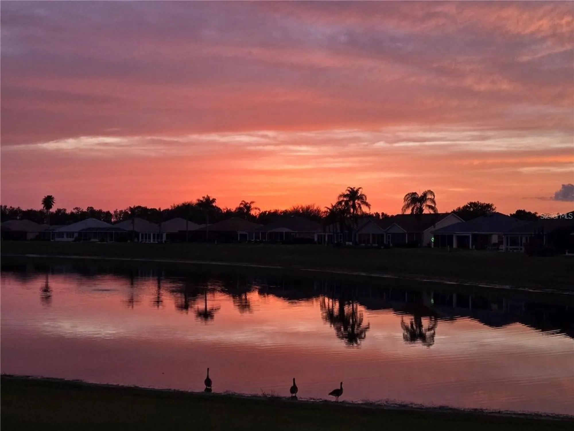 Property Slideshow image 2 of 38 | 2054 palo alto ave, The Villages, FL, 32159