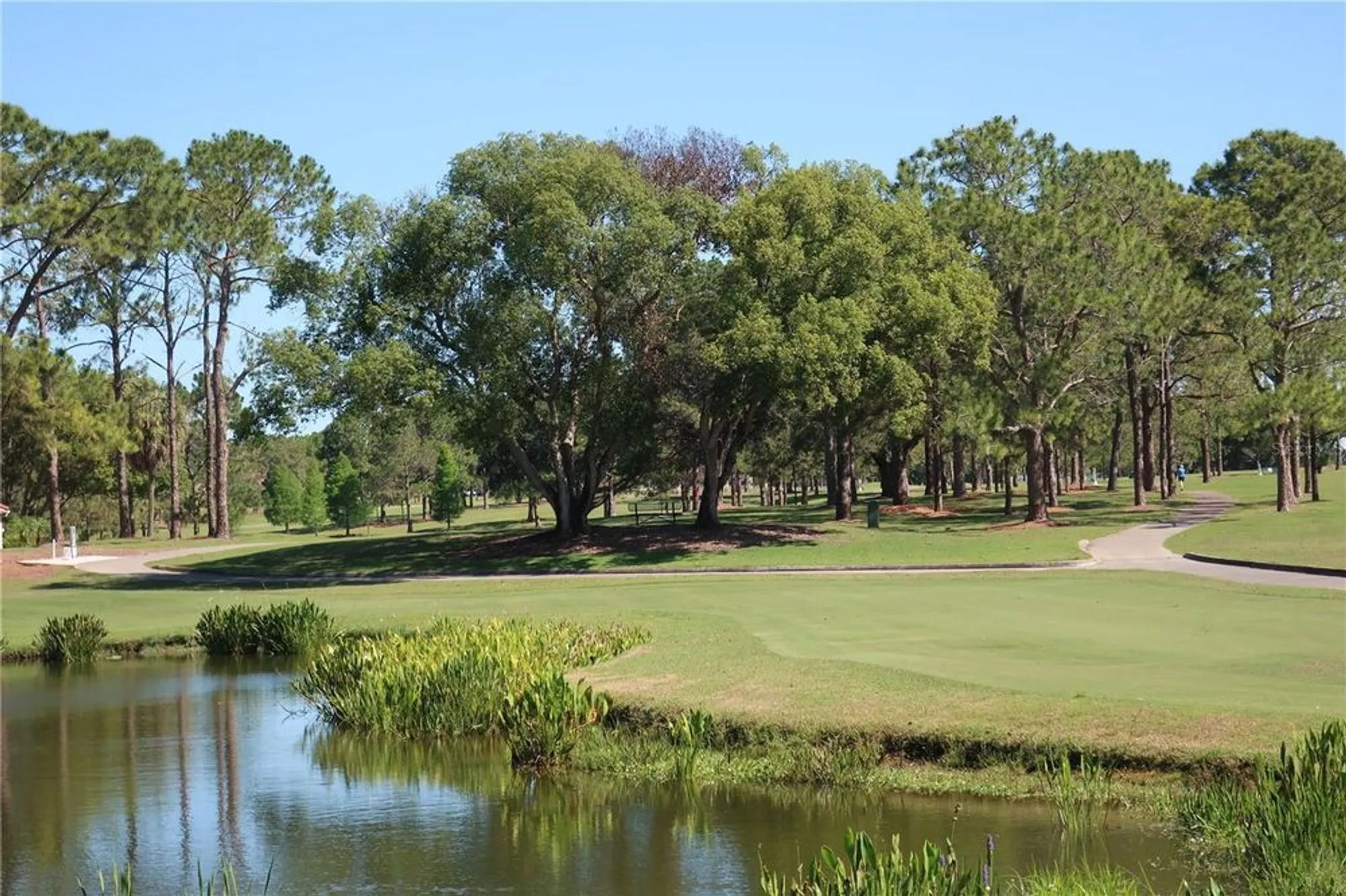 Property Slideshow image 53 of 91 | 1065 tartan dr c, Palm Harbor, FL, 34684