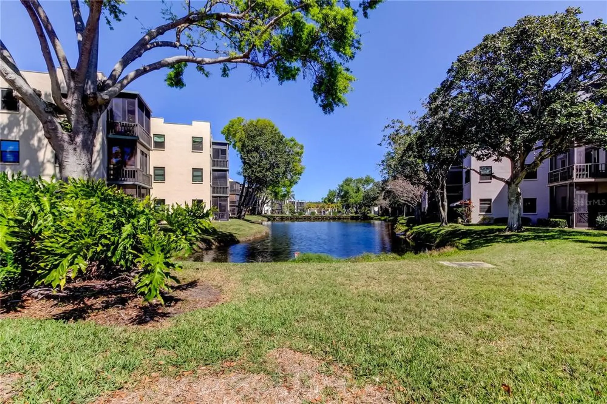 Property Slideshow image 43 of 50 | 5521 80th st n unit 315, Saint Petersburg, FL, 33709