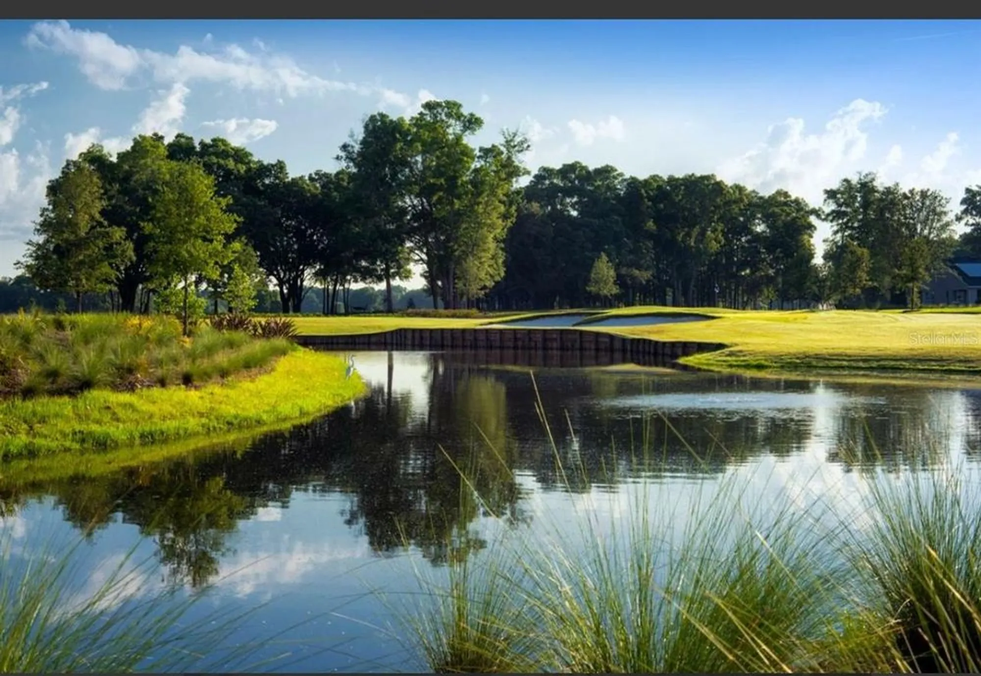 Property Slideshow image 86 of 94 | 3642 nw 55th cir, Ocala, FL, 34482