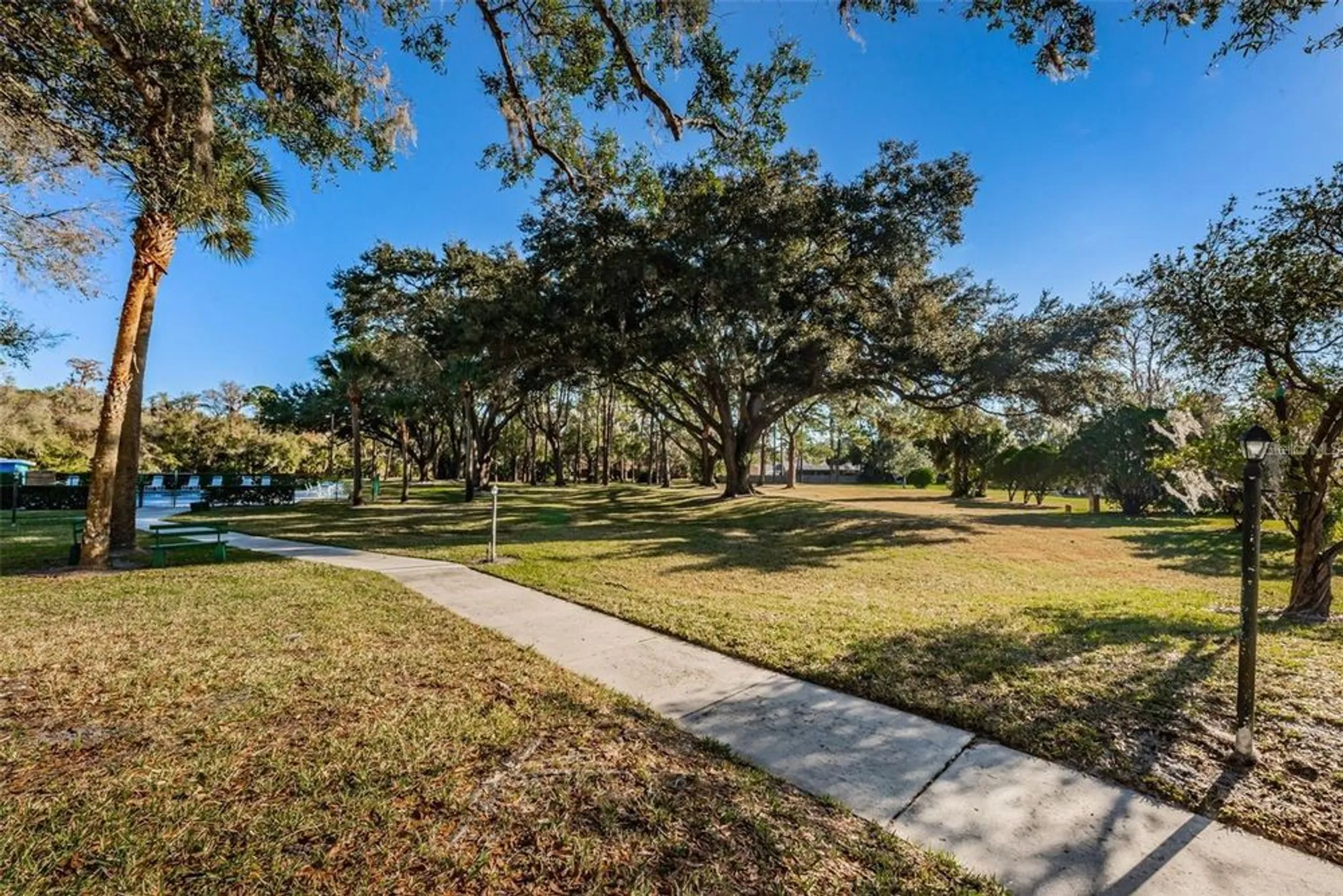 Property Slideshow image 65 of 66 | 1128 lanyard st, Palm Harbor, FL, 34685