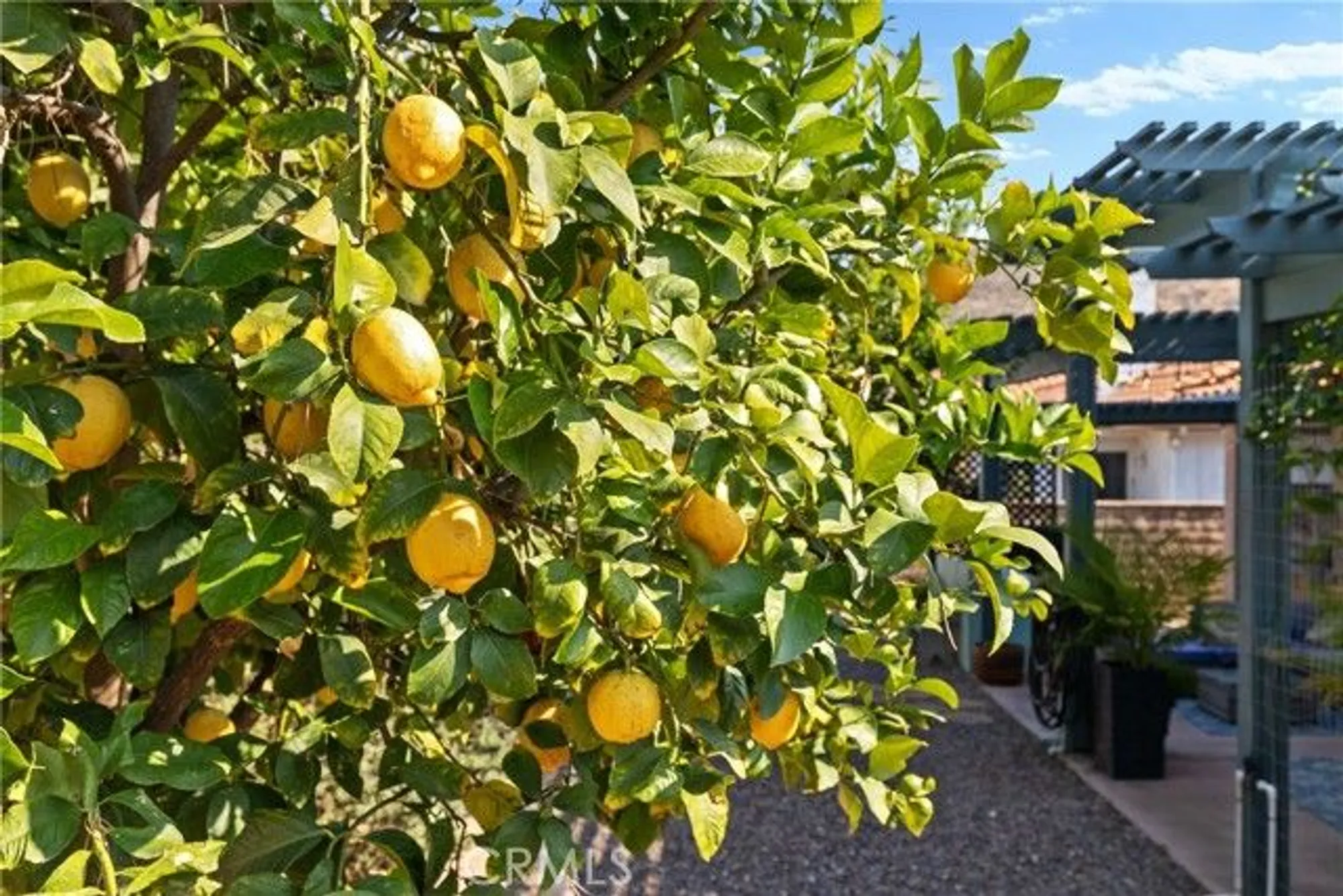 Property Slideshow image 7 of 54 | 1874 balsawood dr, Hemet, CA, 92545