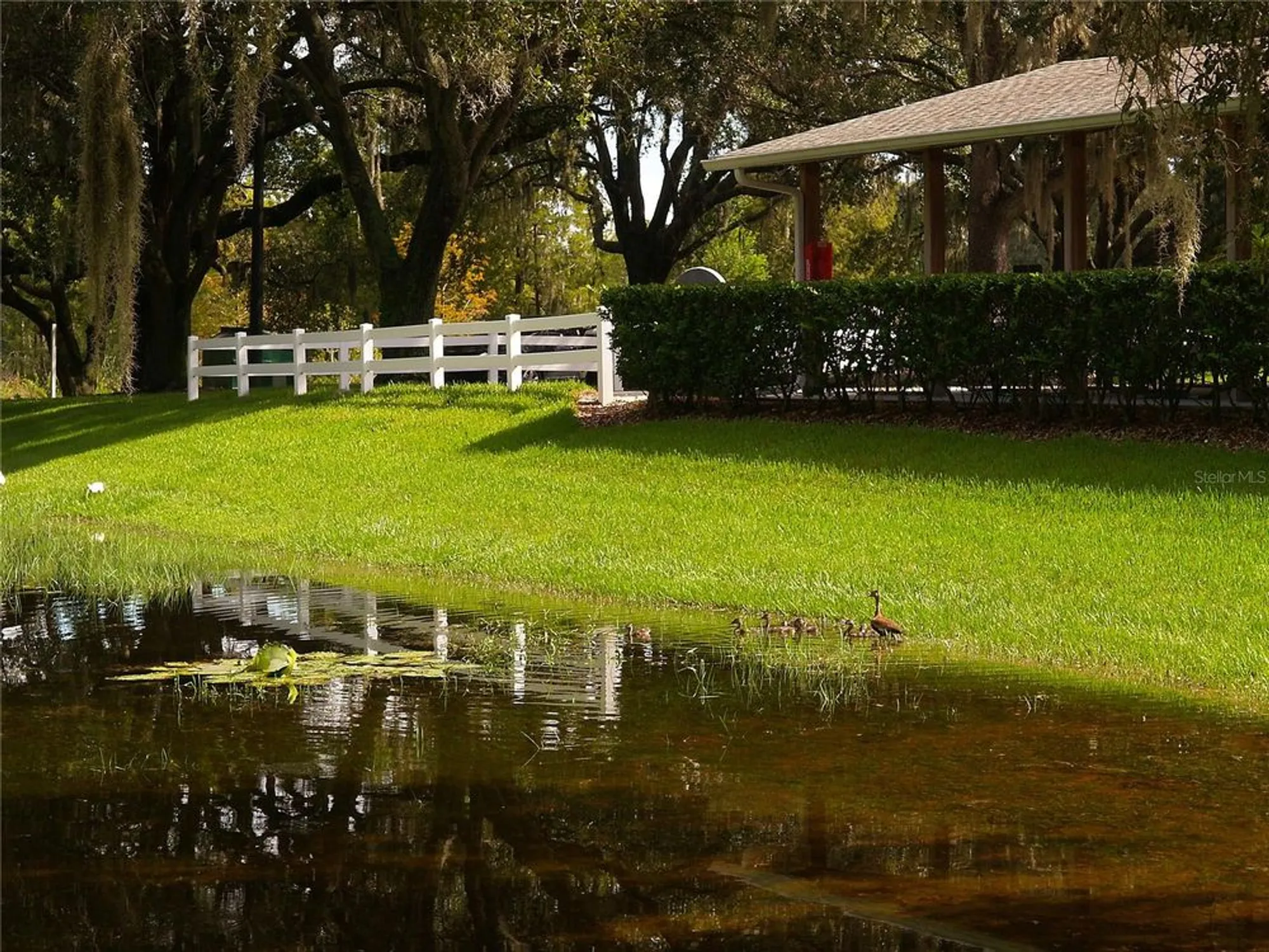 Property Slideshow image 47 of 47 | 25327 temple ct, Leesburg, FL, 34748