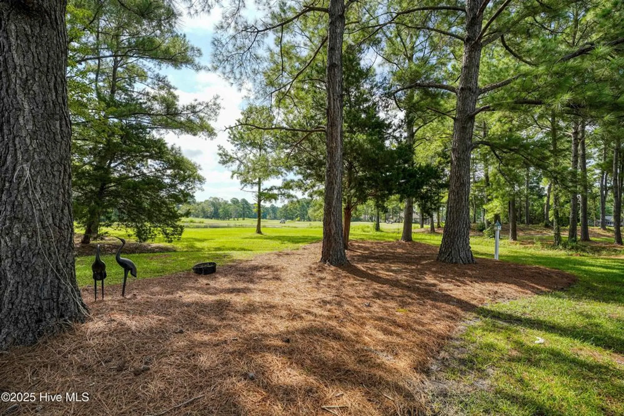 Property Slideshow image 47 of 60 | 800 marsh rose path, Calabash, NC, 28467
