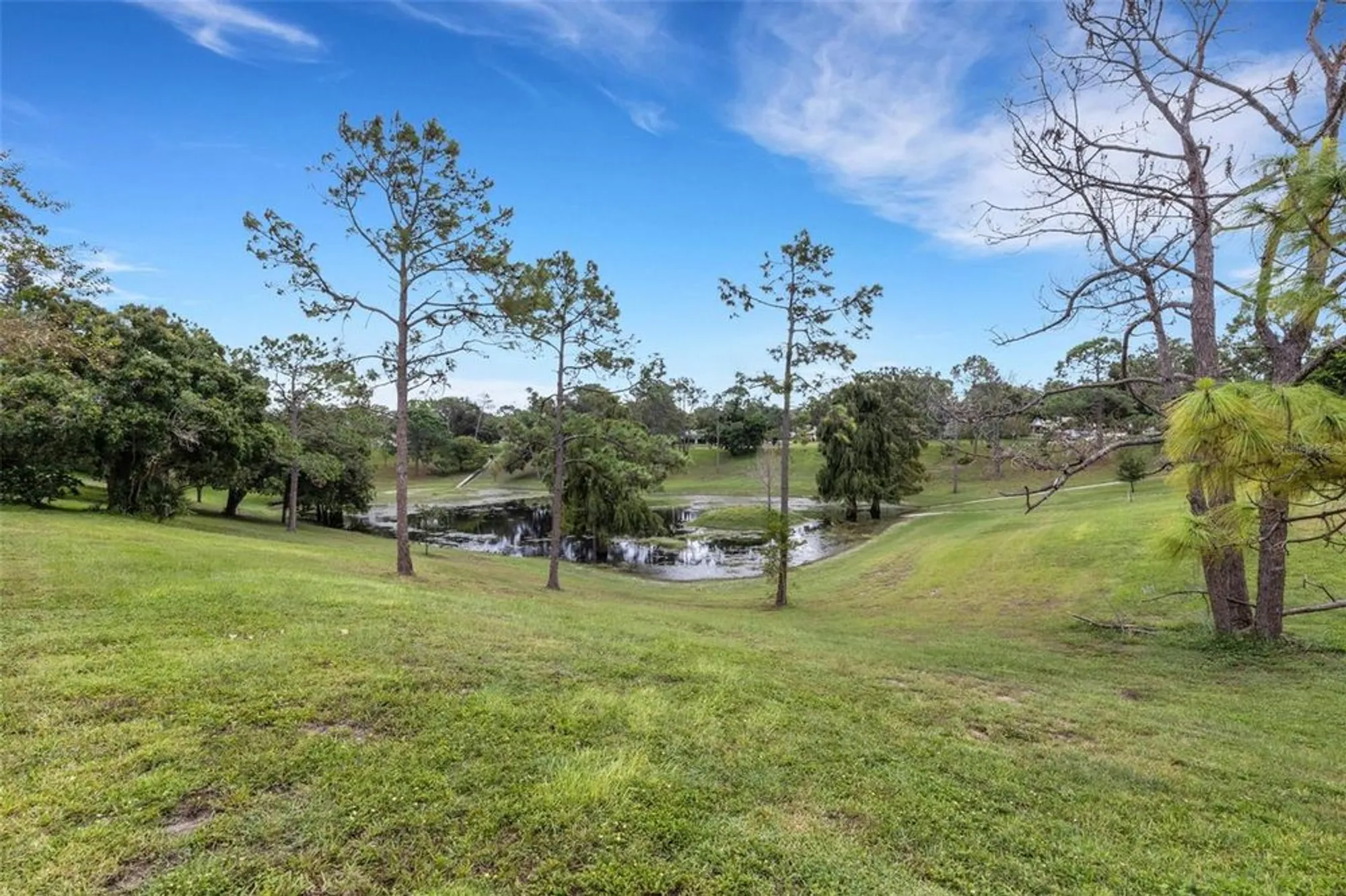 Property Slideshow image 59 of 90 | 3098 e dorchester dr, Palm Harbor, FL, 34684