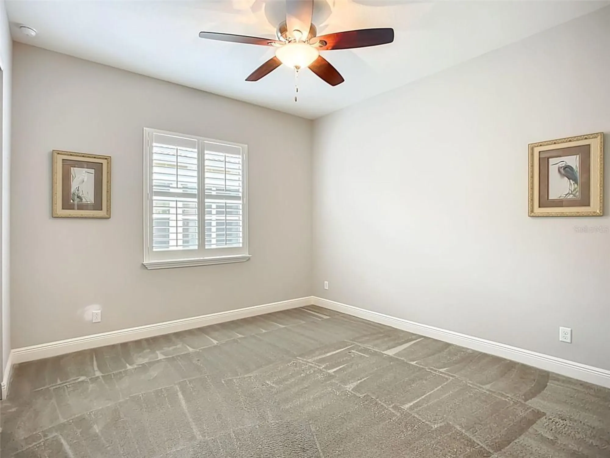 Property Slideshow image 36 of 75 | 15909 cape coral dr, Wimauma, FL, 33598