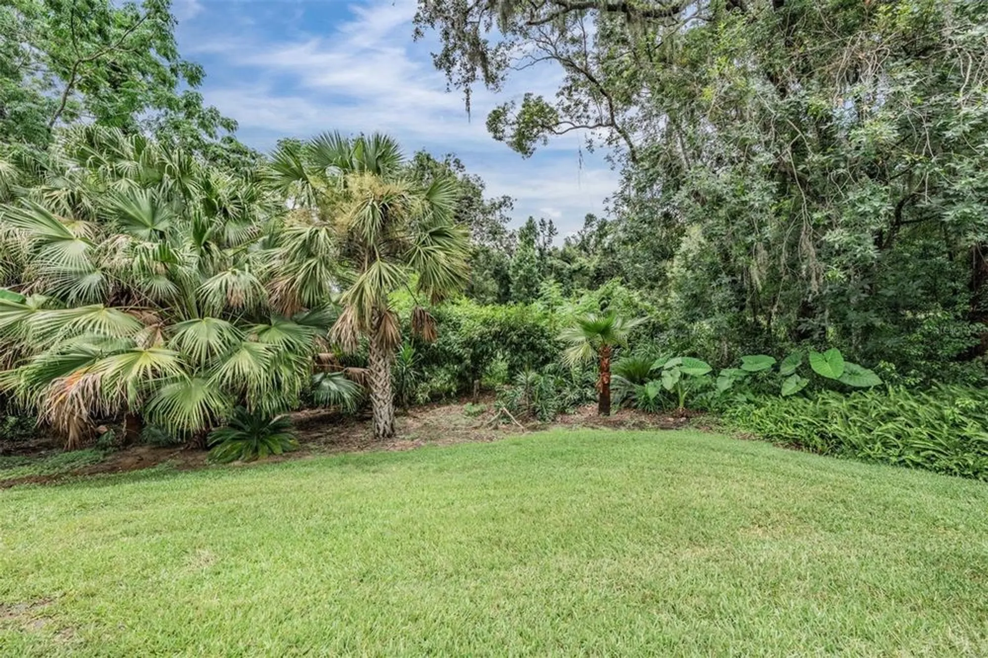 Property Slideshow image 33 of 50 | 13816 thoroughbred dr, Dade City, FL, 33525
