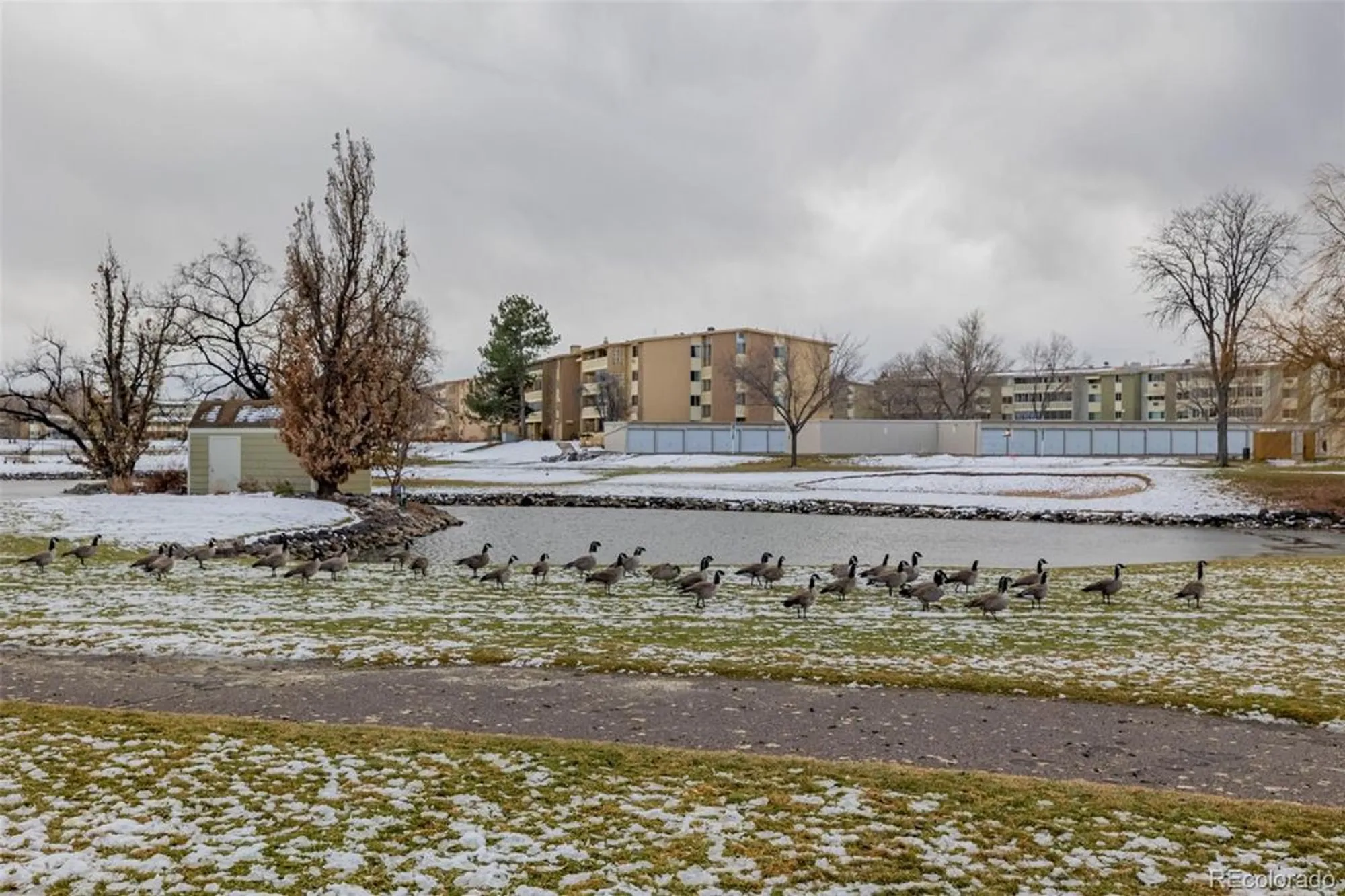 Property Slideshow image 6 of 50 | 9340 e center ave apt 8a, Denver, CO, 80247