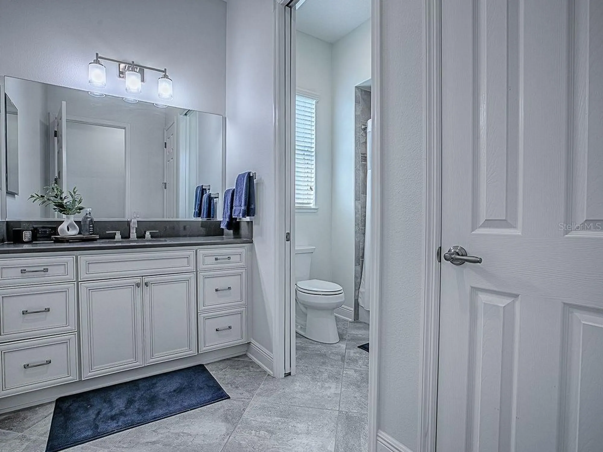 Property Slideshow image 22 of 68 | 3427 conservation trl, The Villages, FL, 32163