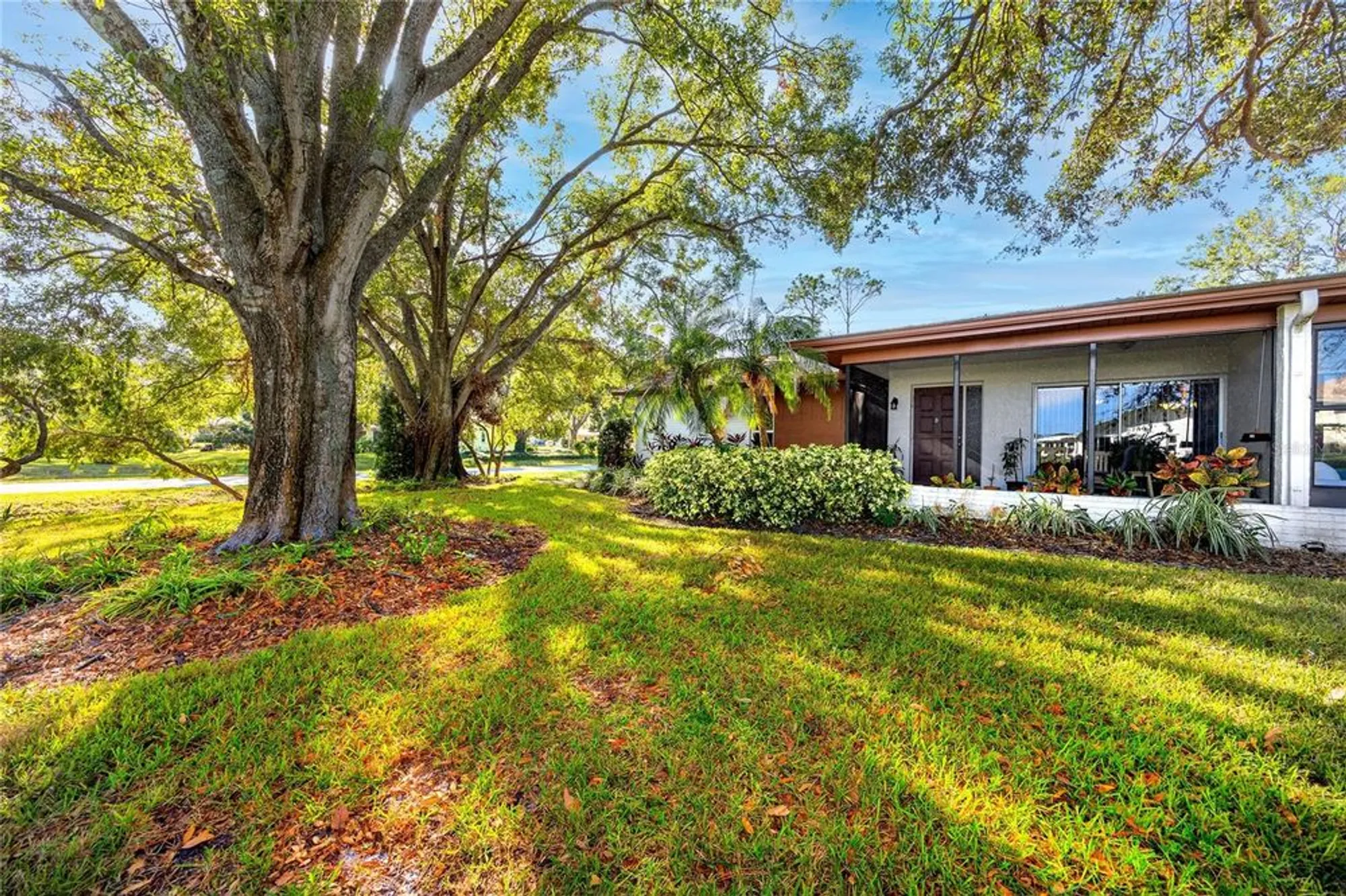 Property Slideshow image 2 of 31 | 2390 shelly dr d, Palm Harbor, FL, 34684